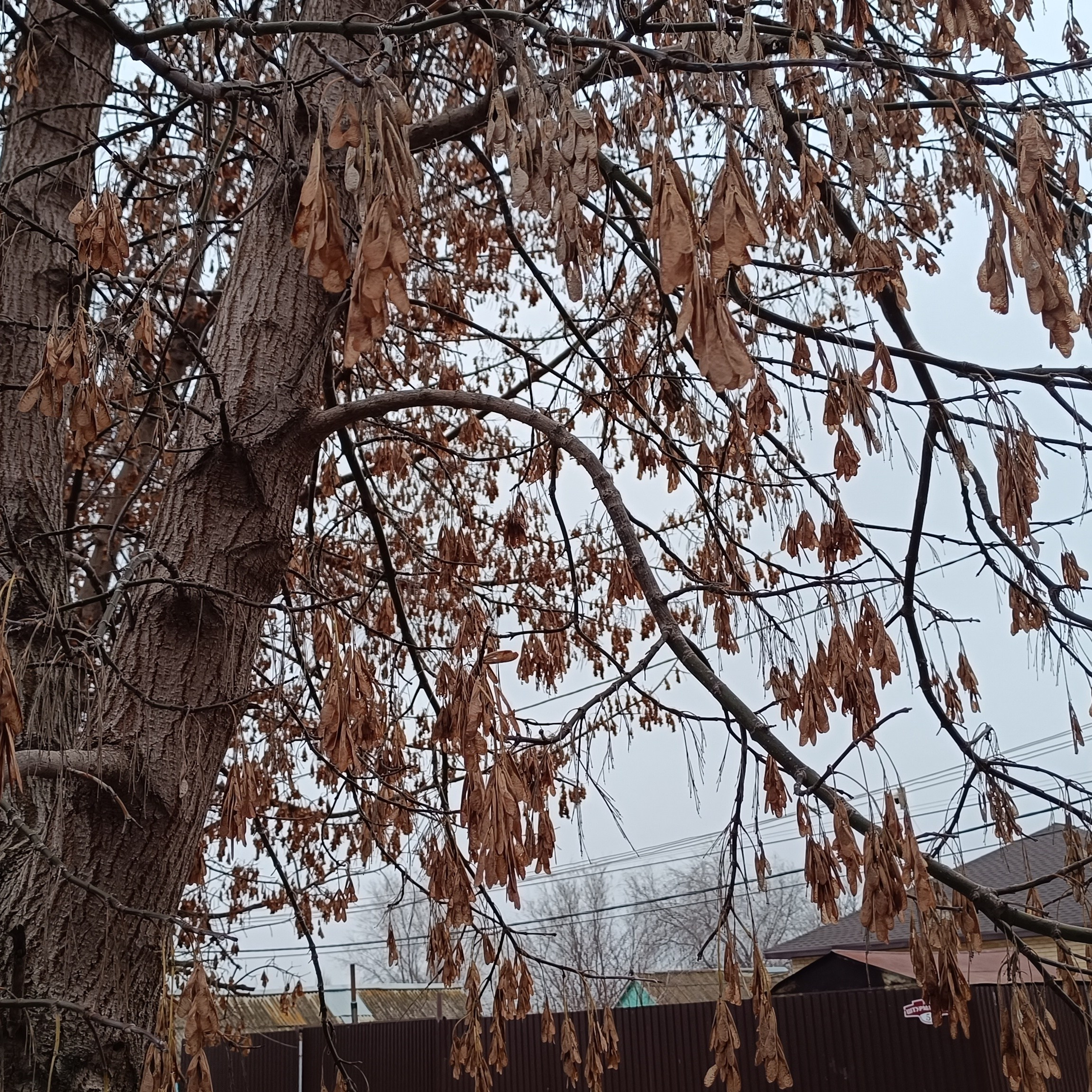 Фототерапия. Марина Рыбкина — Глубинная психология