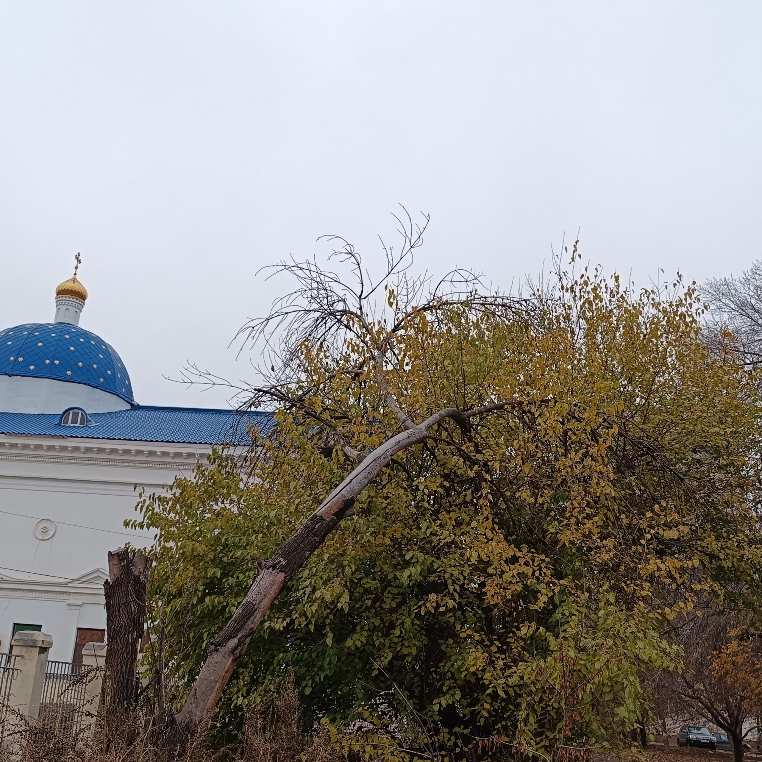 Фототерапия. Марина Рыбкина — Глубинная психология