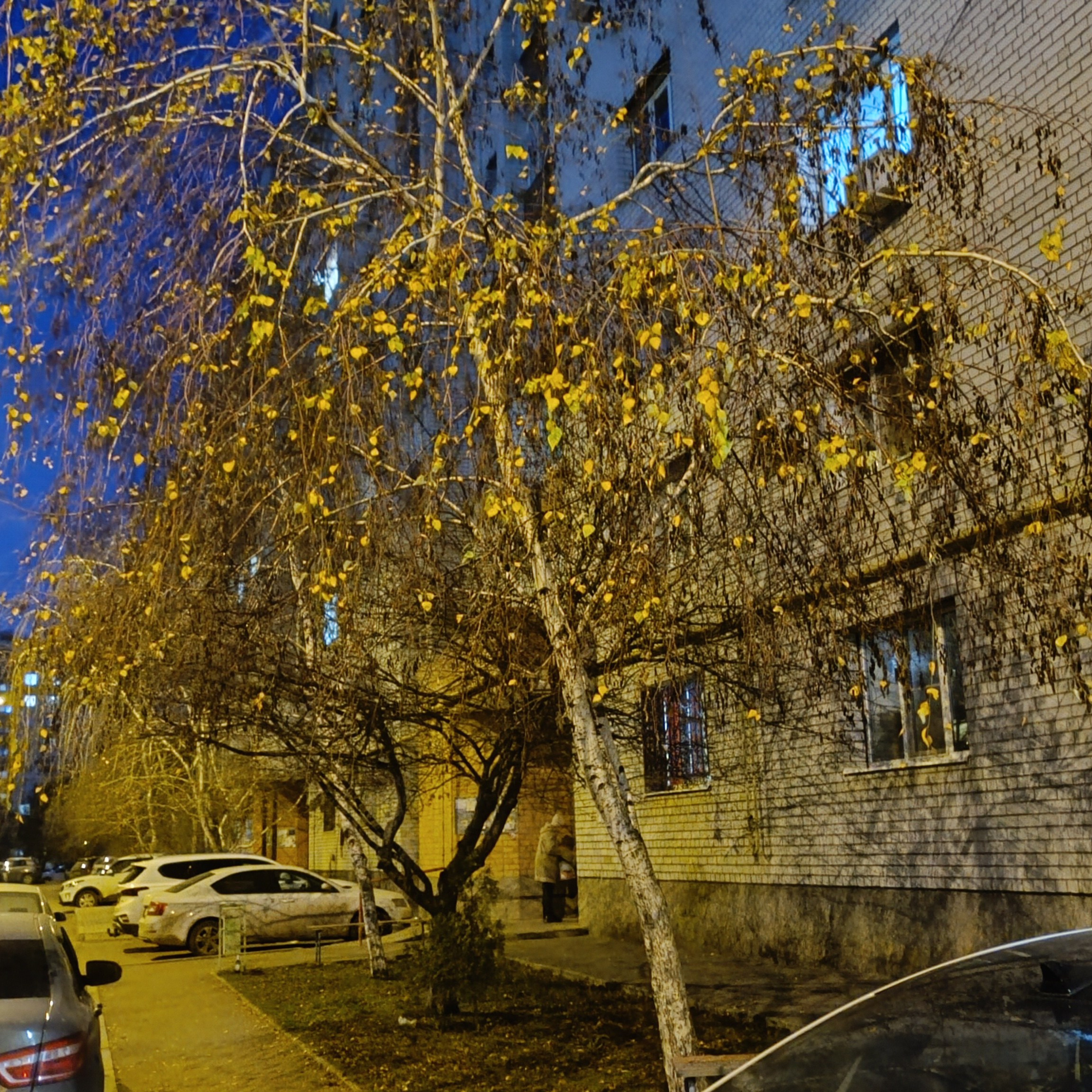 Фототерапия. Марина Рыбкина — Глубинная психология