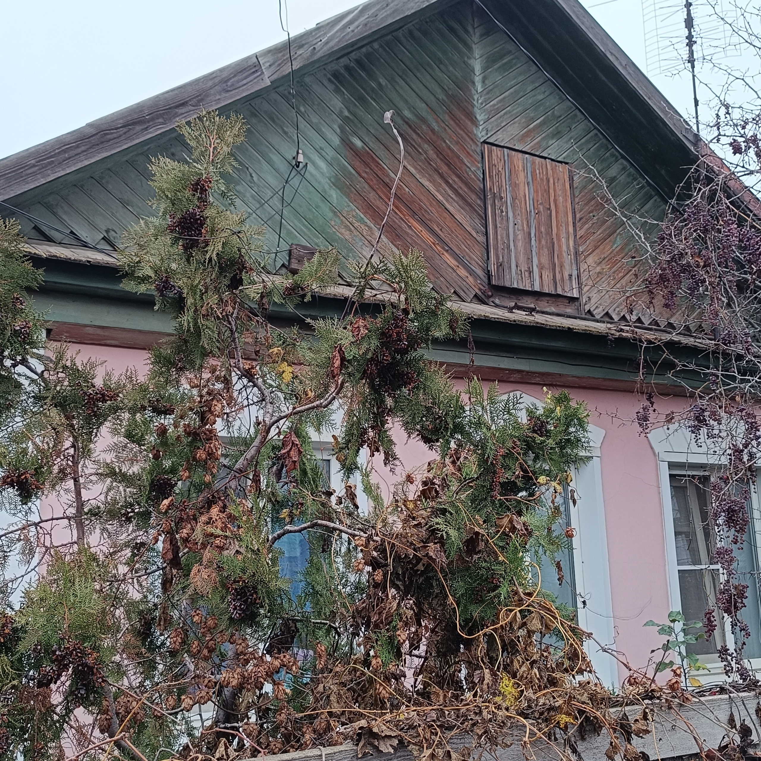 Фототерапия. Марина Рыбкина — Глубинная психология