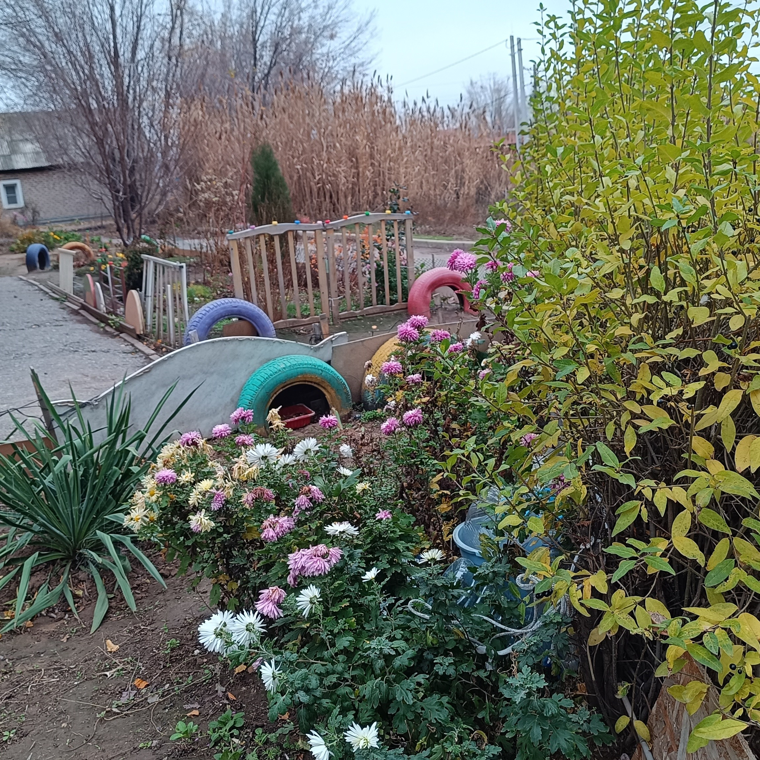 Фототерапия. Марина Рыбкина — Глубинная психология