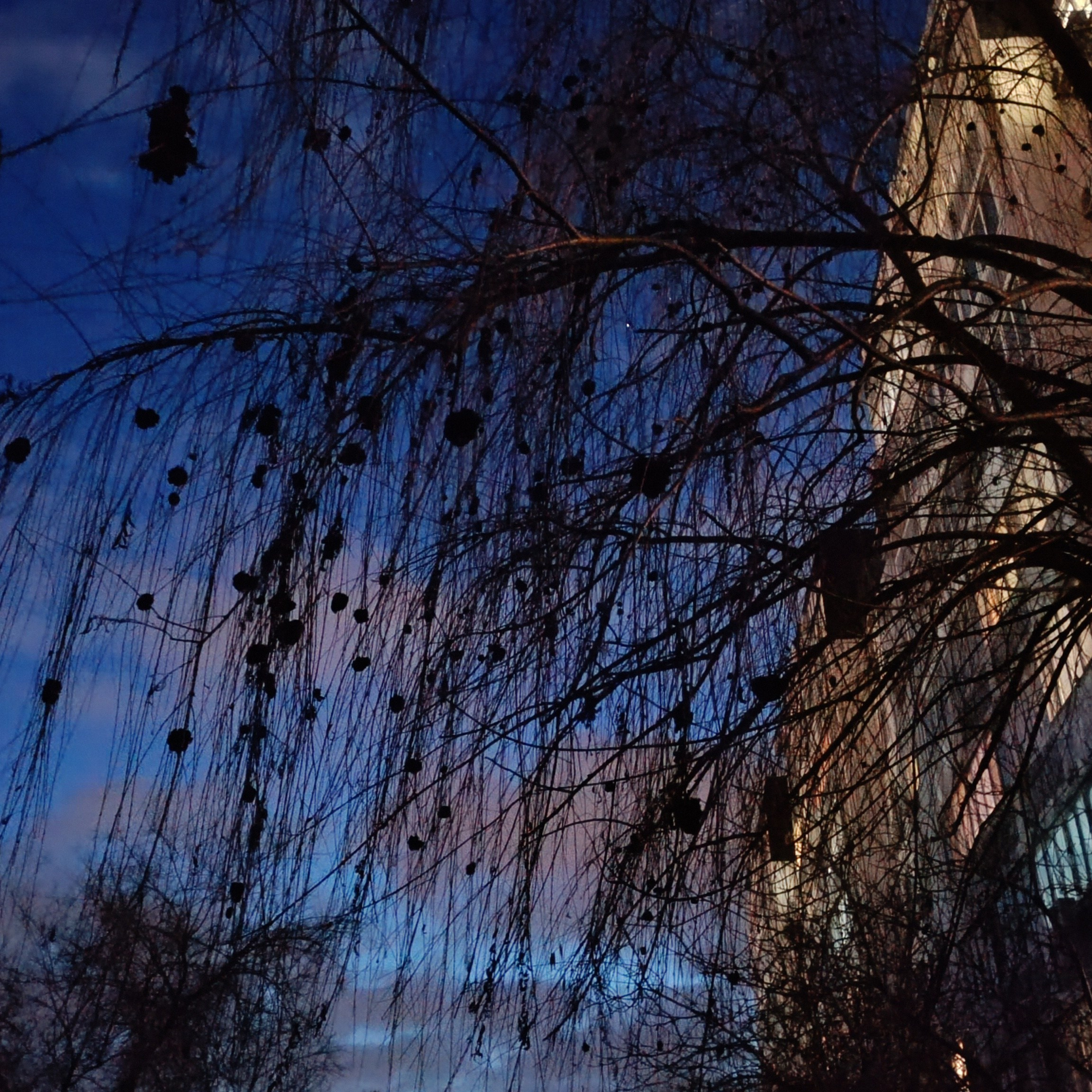 Фототерапия. Марина Рыбкина — Глубинная психология