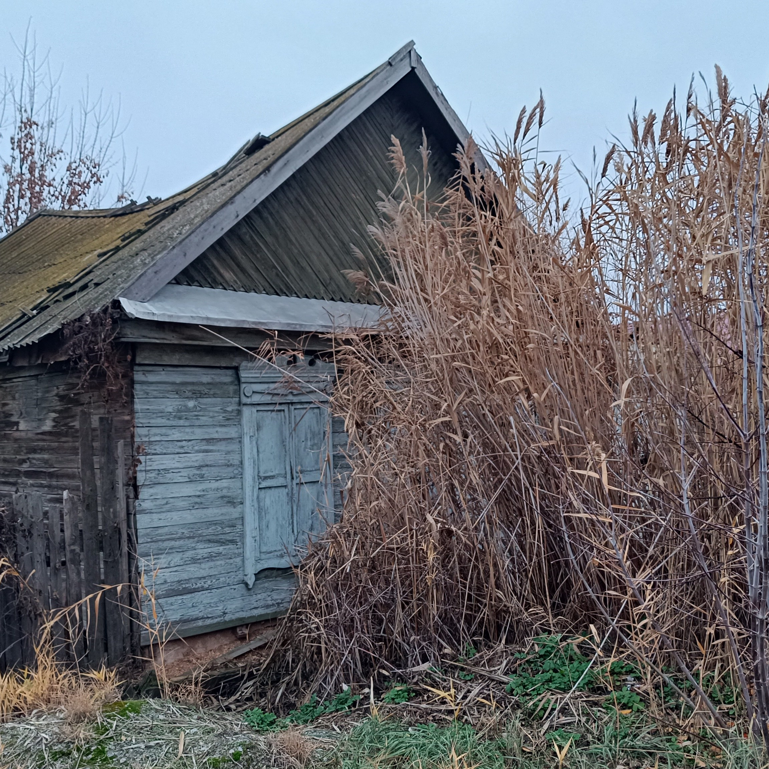 Фототерапия. Марина Рыбкина — Глубинная психология