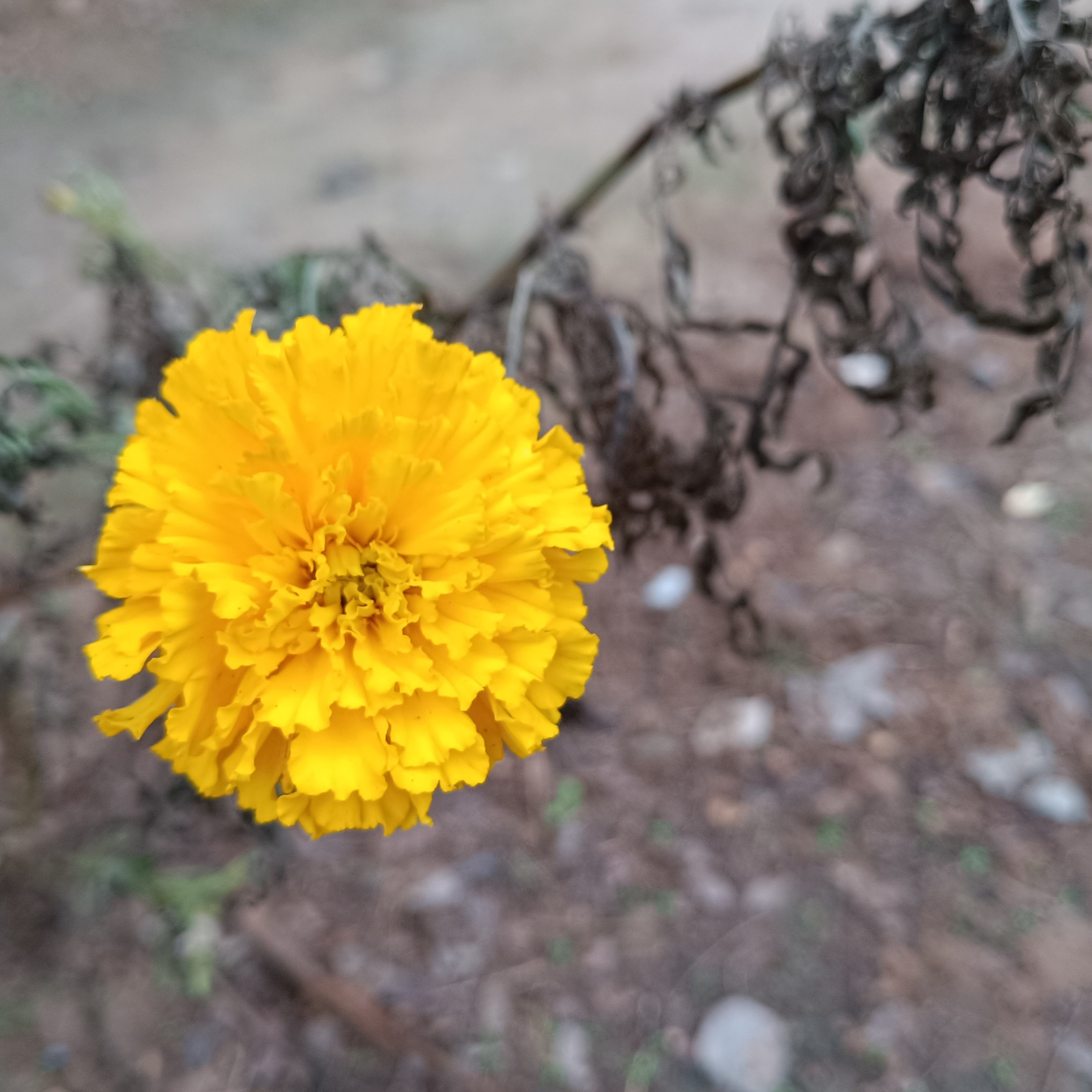 Фототерапия. Марина Рыбкина — Глубинная психология