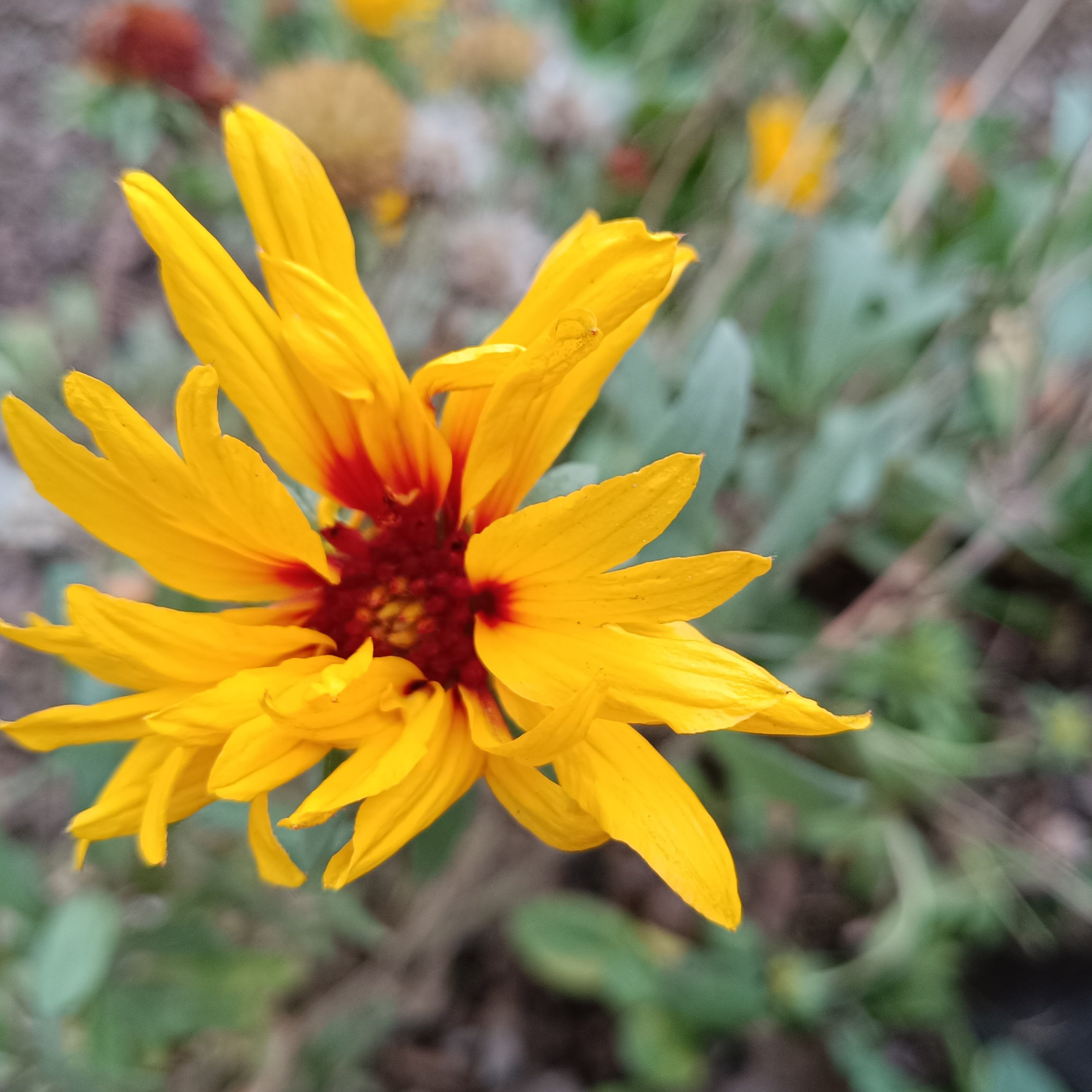 Фототерапия. Марина Рыбкина — Глубинная психология