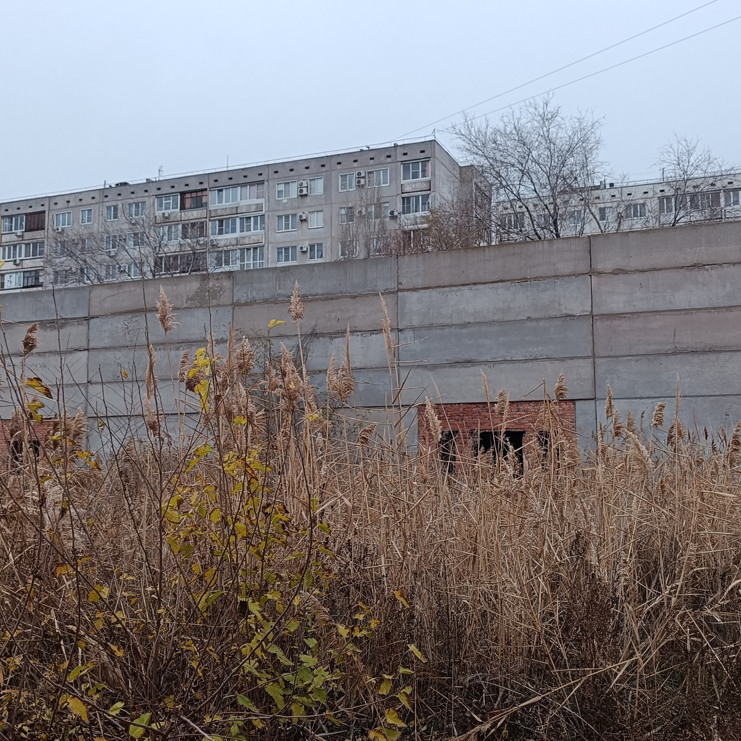 Фототерапия. Марина Рыбкина — Глубинная психология