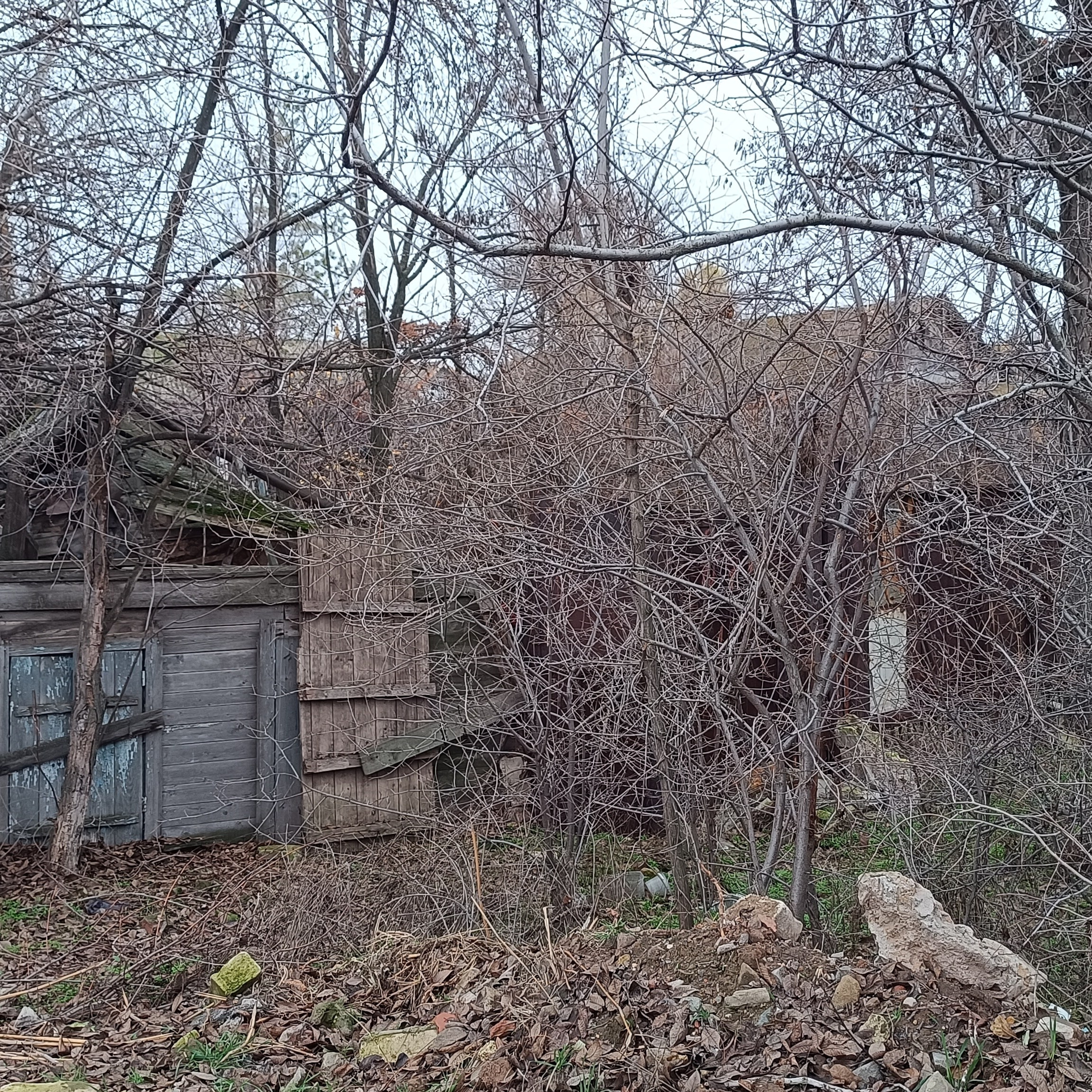 Фототерапия. Марина Рыбкина — Глубинная психология