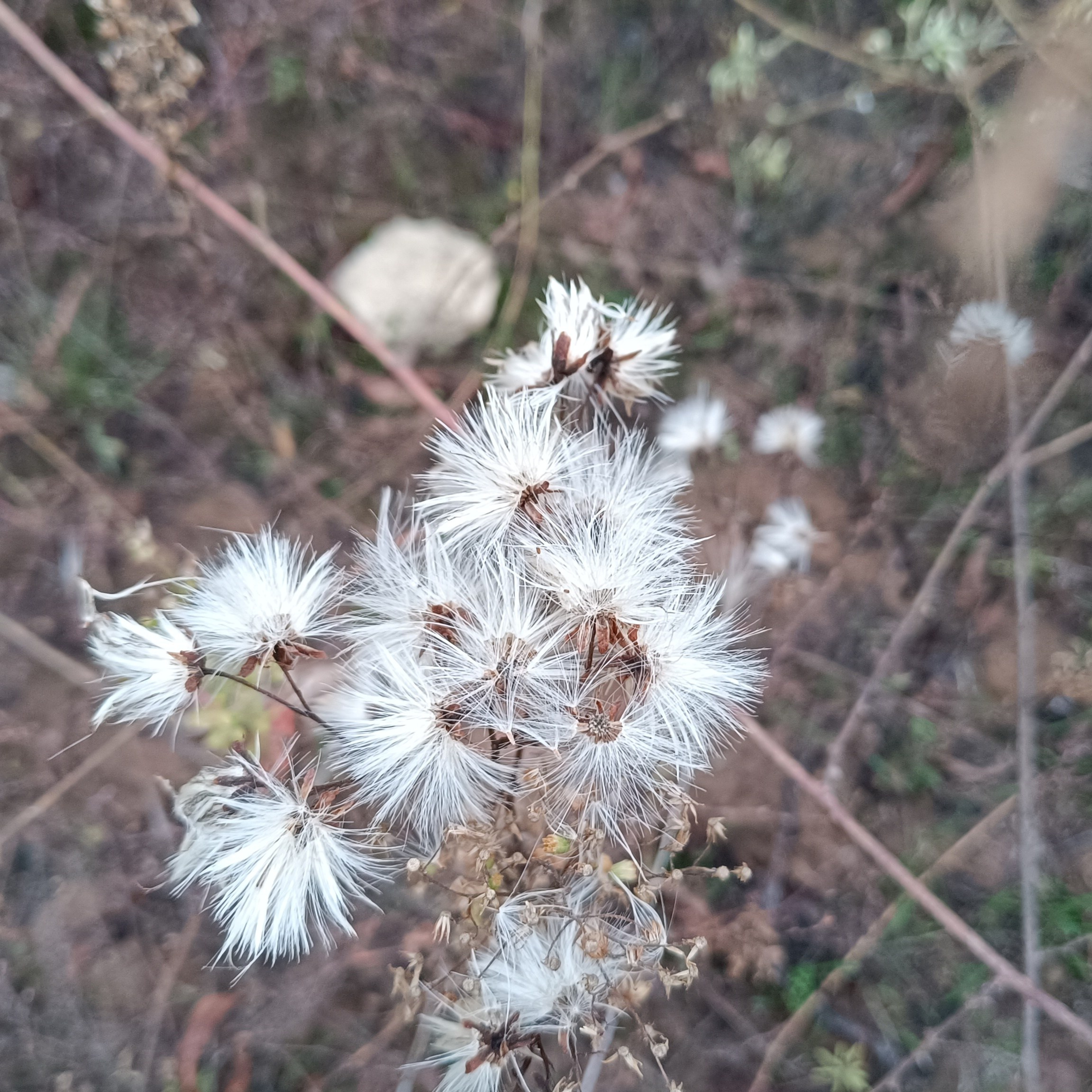 Фототерапия. Марина Рыбкина — Глубинная психология