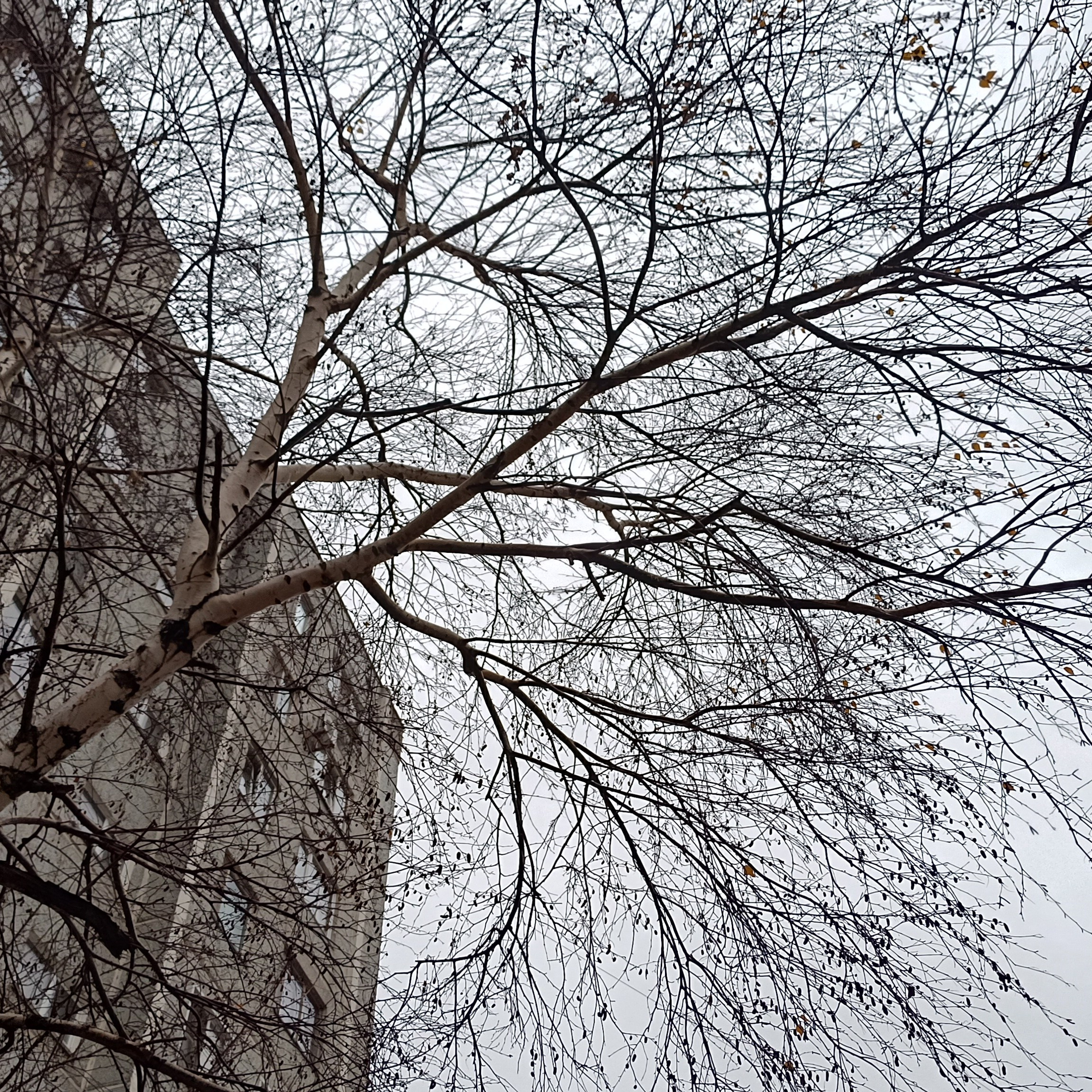 Фототерапия. Марина Рыбкина — Глубинная психология