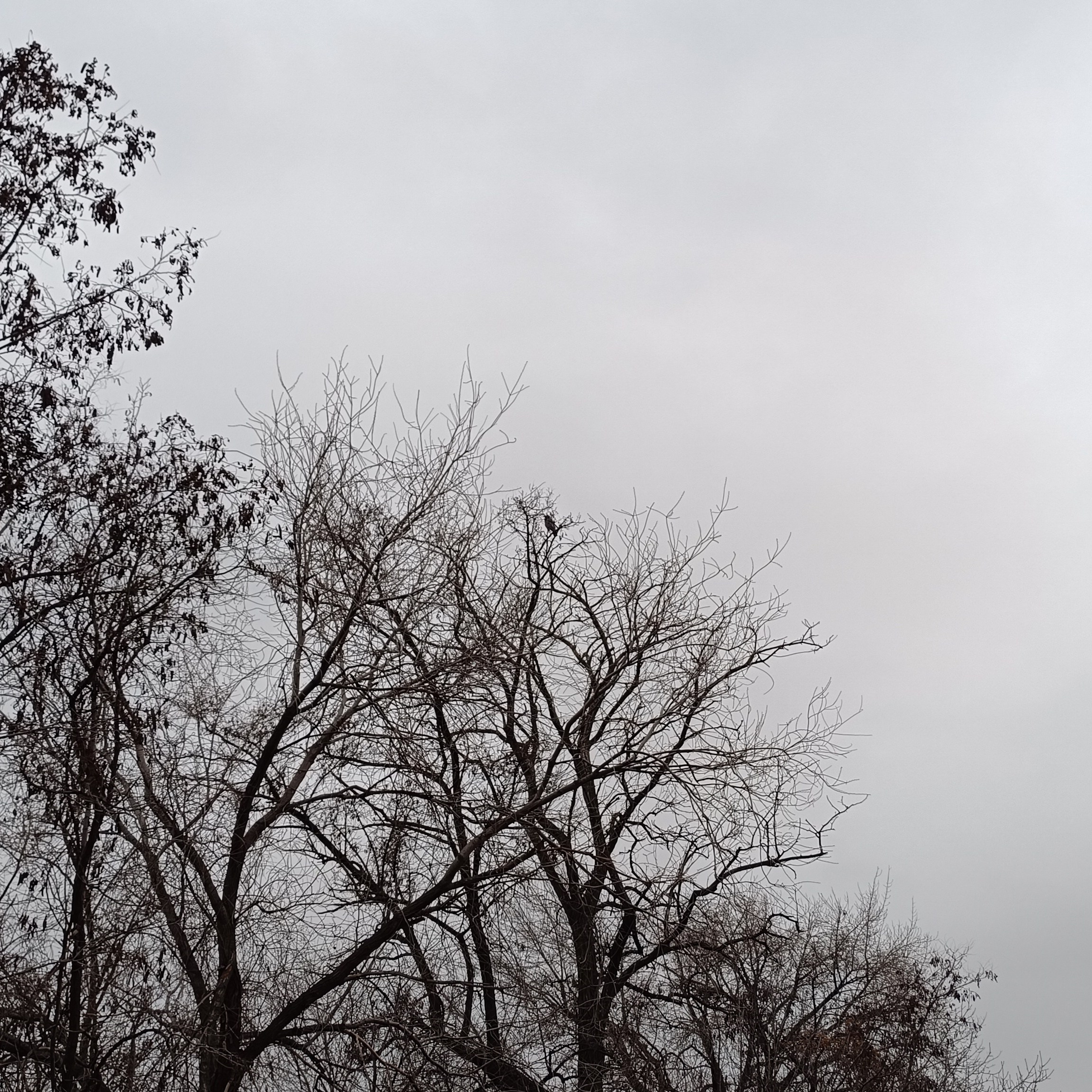 Фототерапия. Марина Рыбкина — Глубинная психология