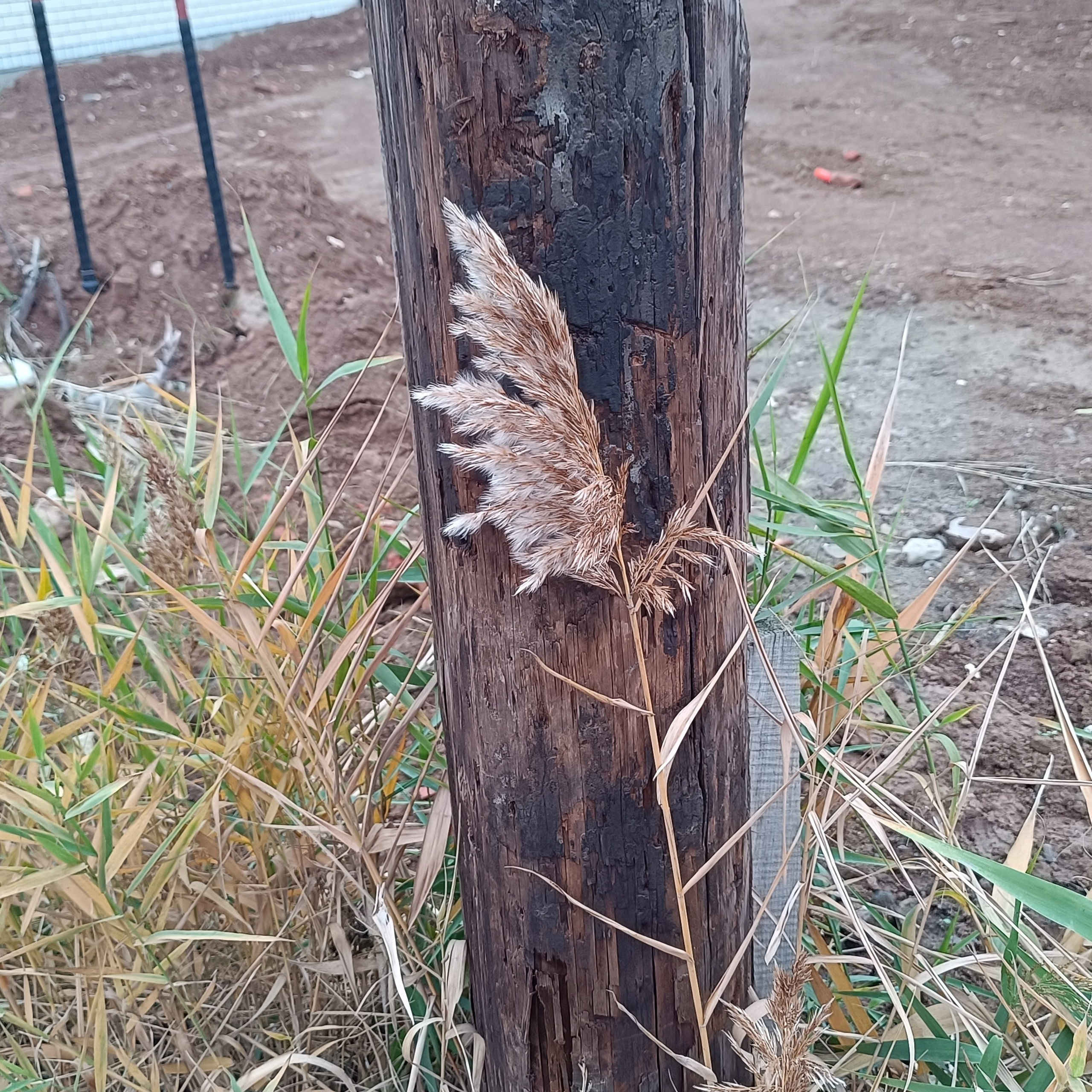 Фототерапия. Марина Рыбкина — Глубинная психология