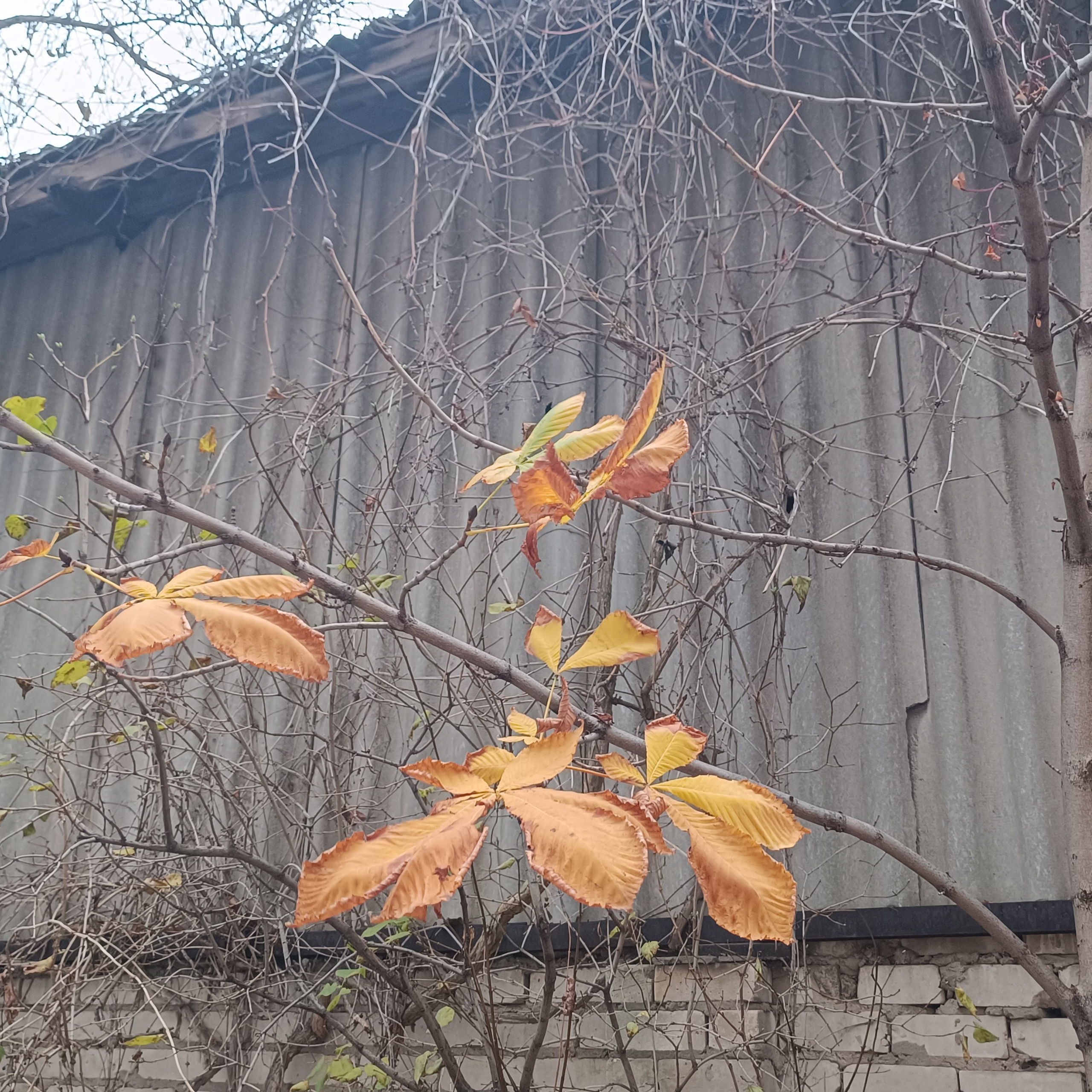 Фототерапия. Марина Рыбкина — Глубинная психология