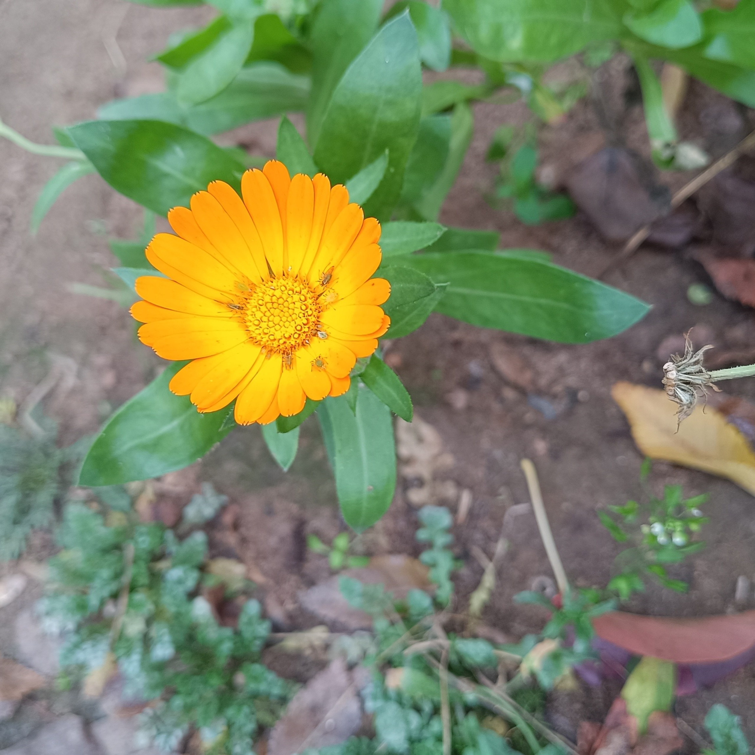 Фототерапия. Марина Рыбкина — Глубинная психология