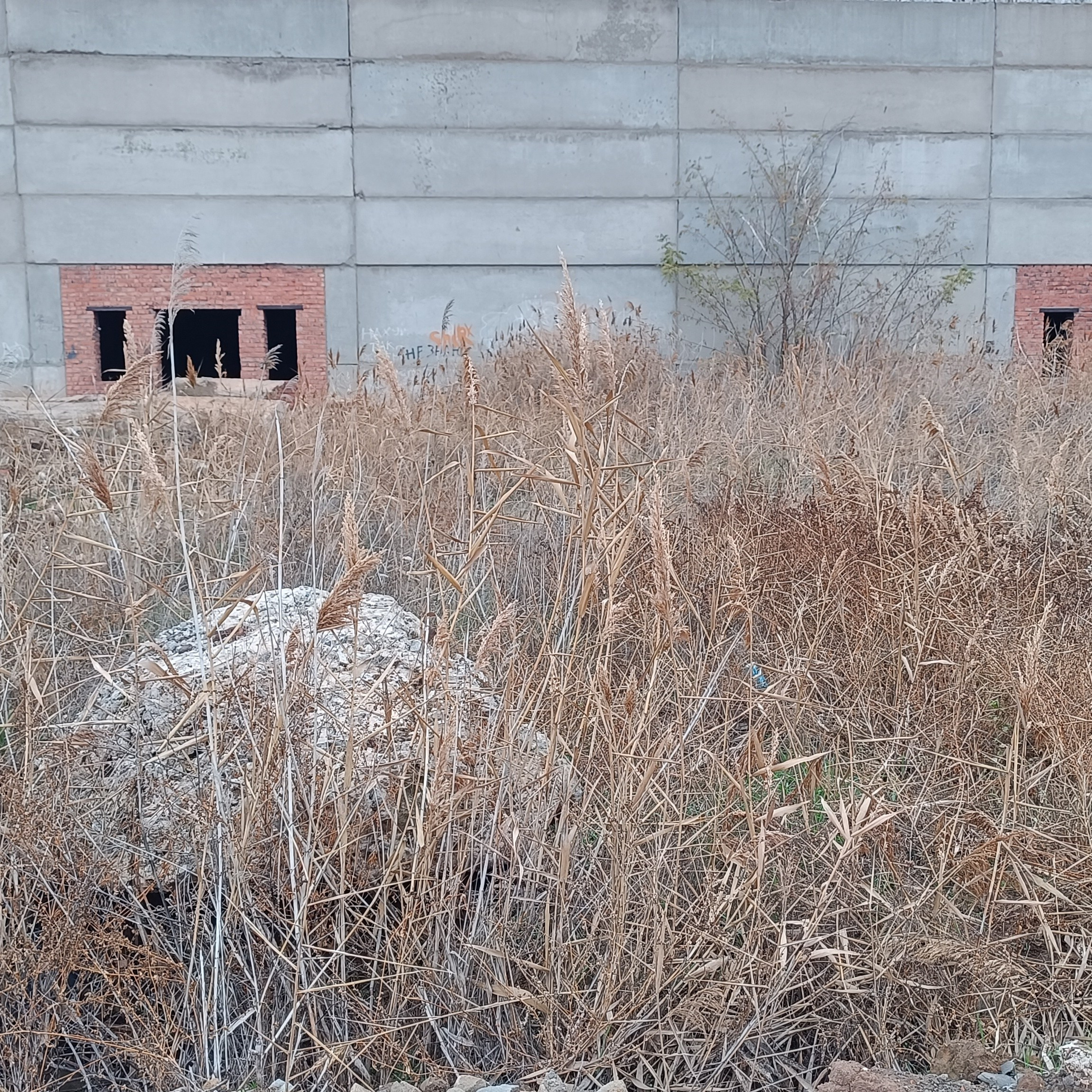 Фототерапия. Марина Рыбкина — Глубинная психология