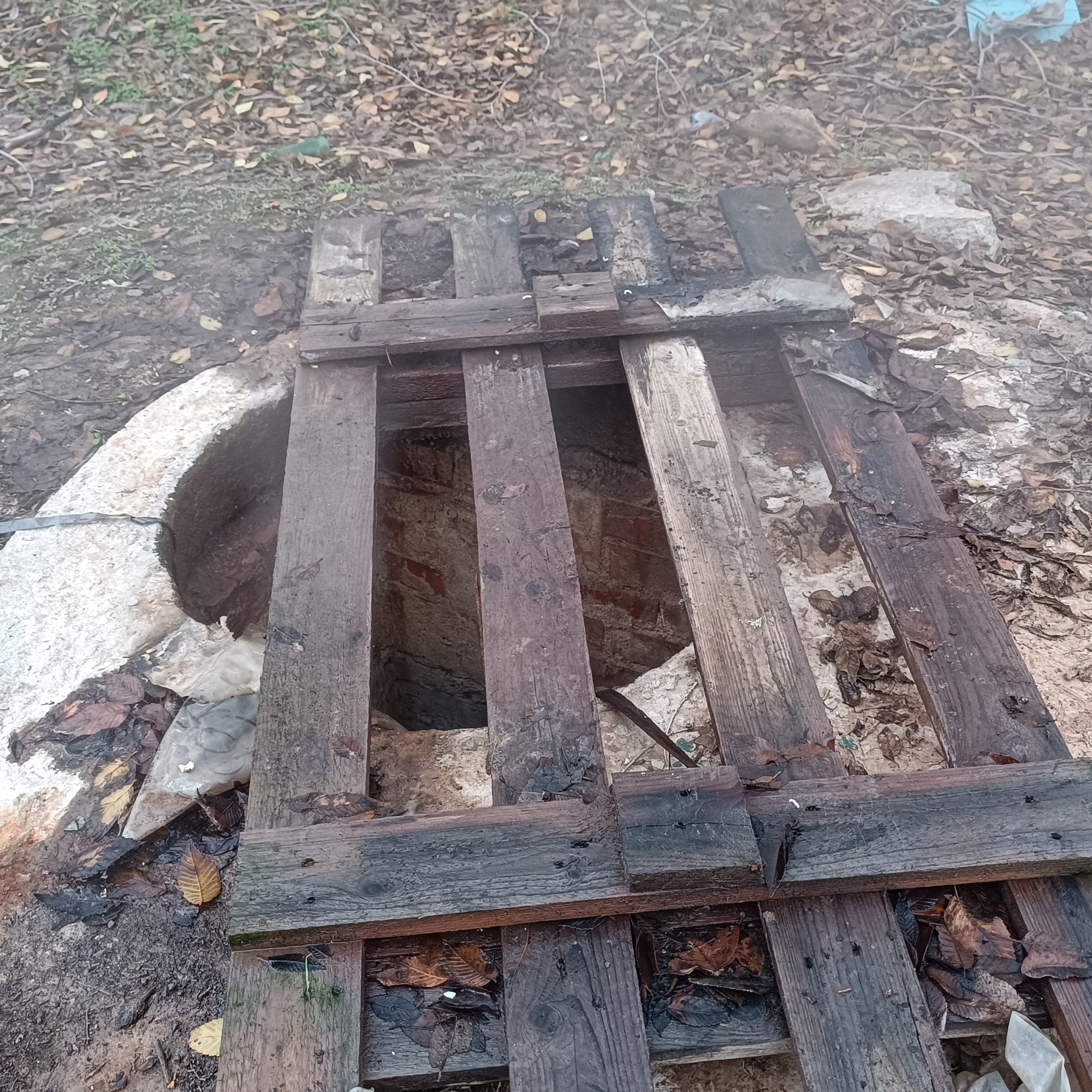 Фототерапия. Марина Рыбкина — Глубинная психология