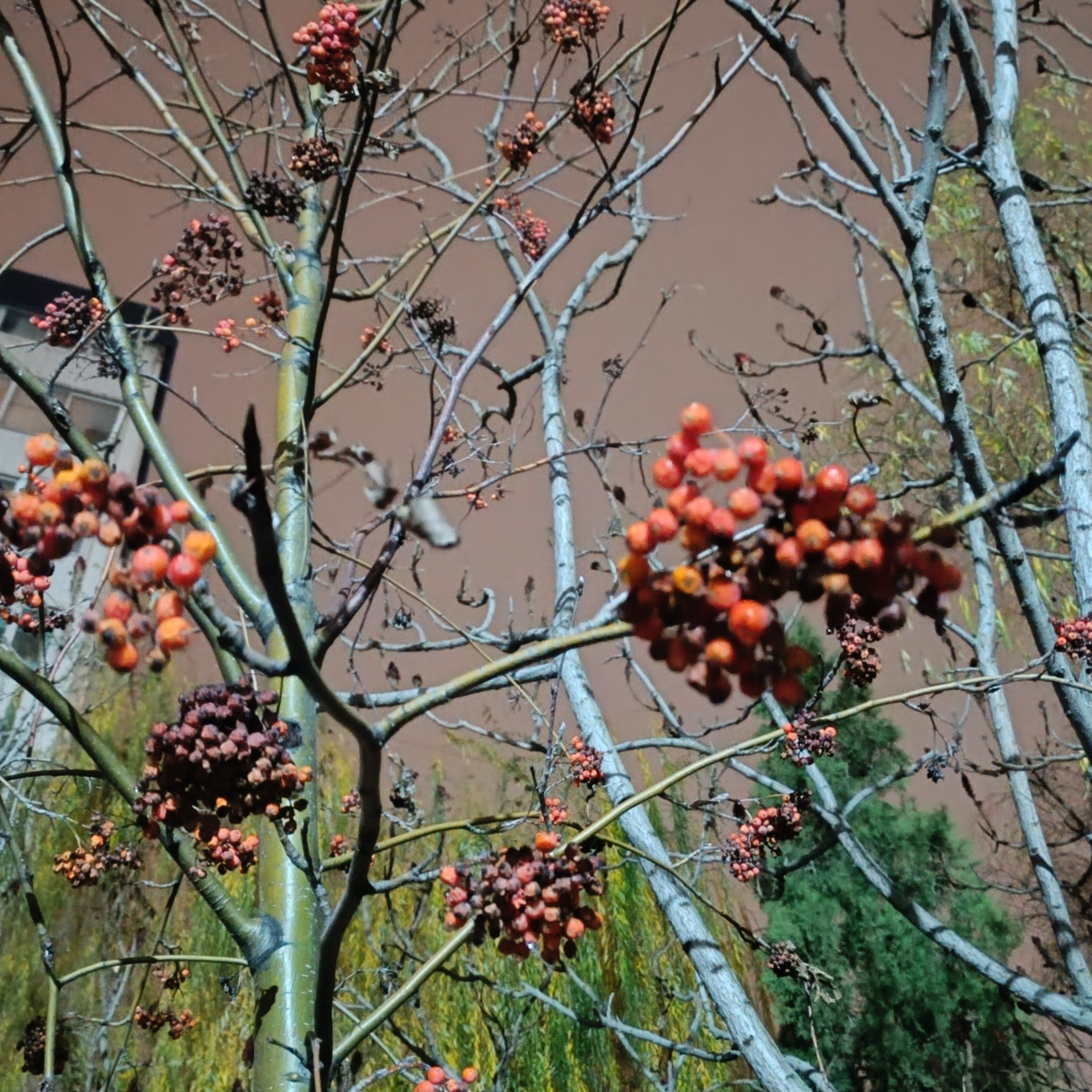 Фототерапия. Марина Рыбкина — Глубинная психология