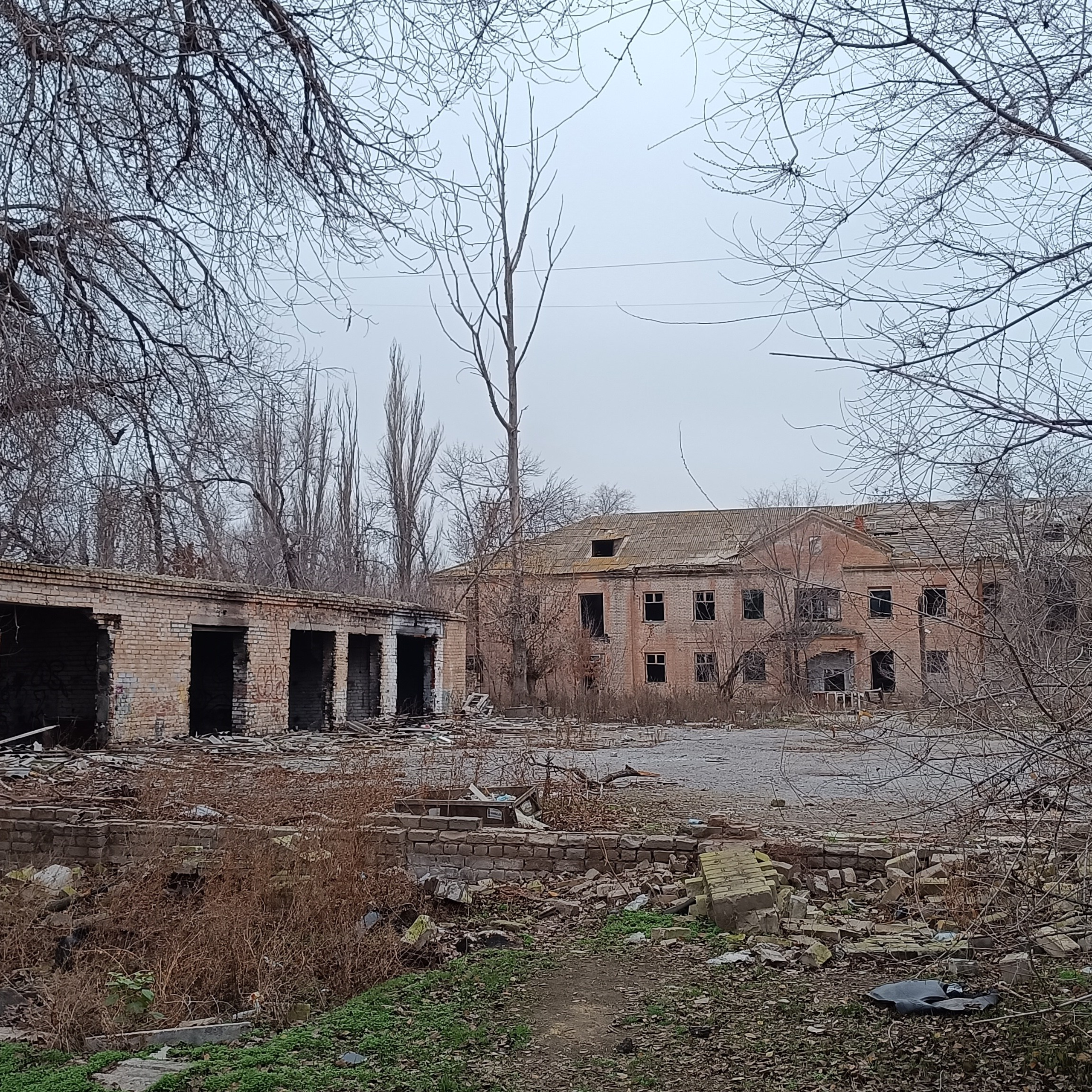 Фототерапия. Марина Рыбкина — Глубинная психология