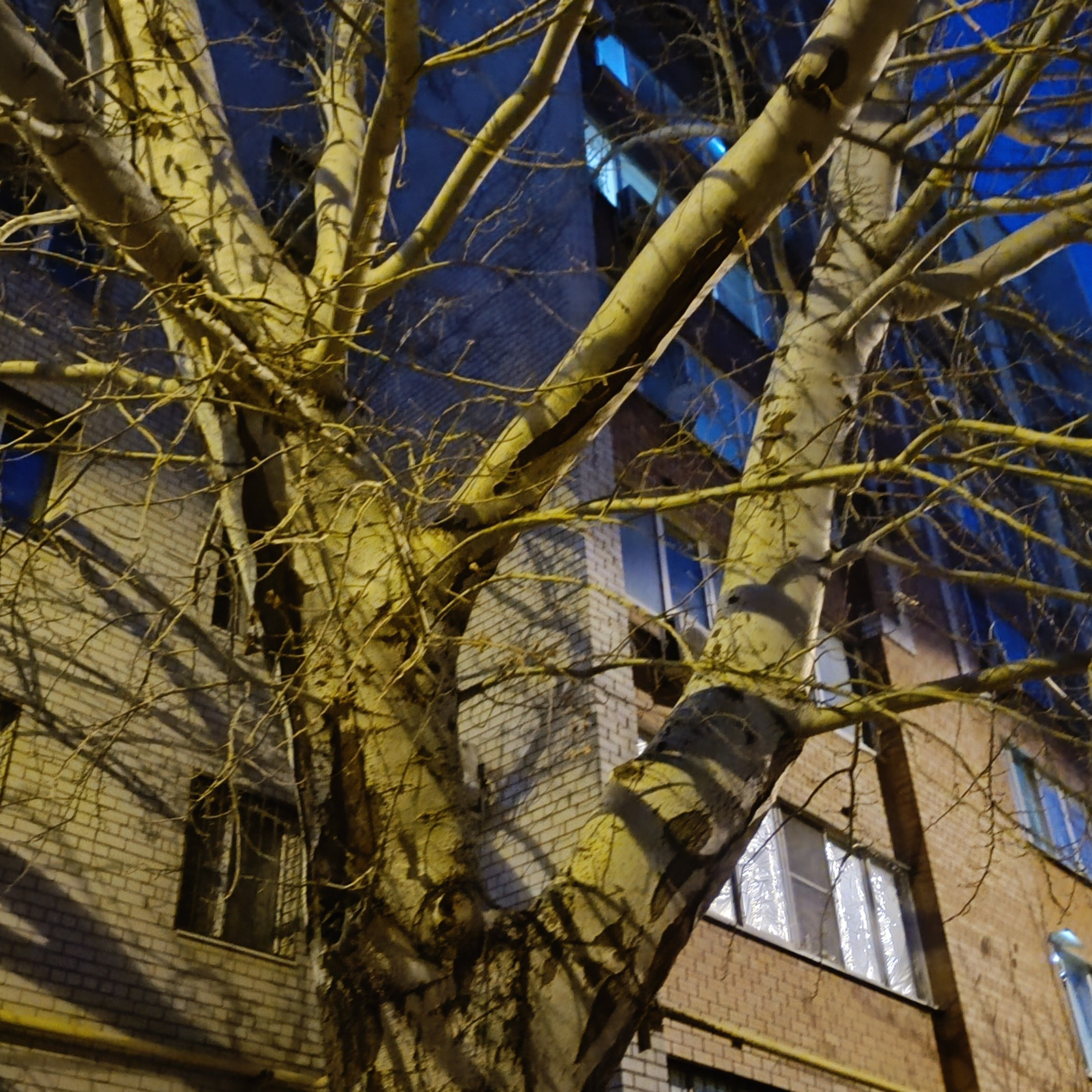 Фототерапия. Марина Рыбкина — Глубинная психология