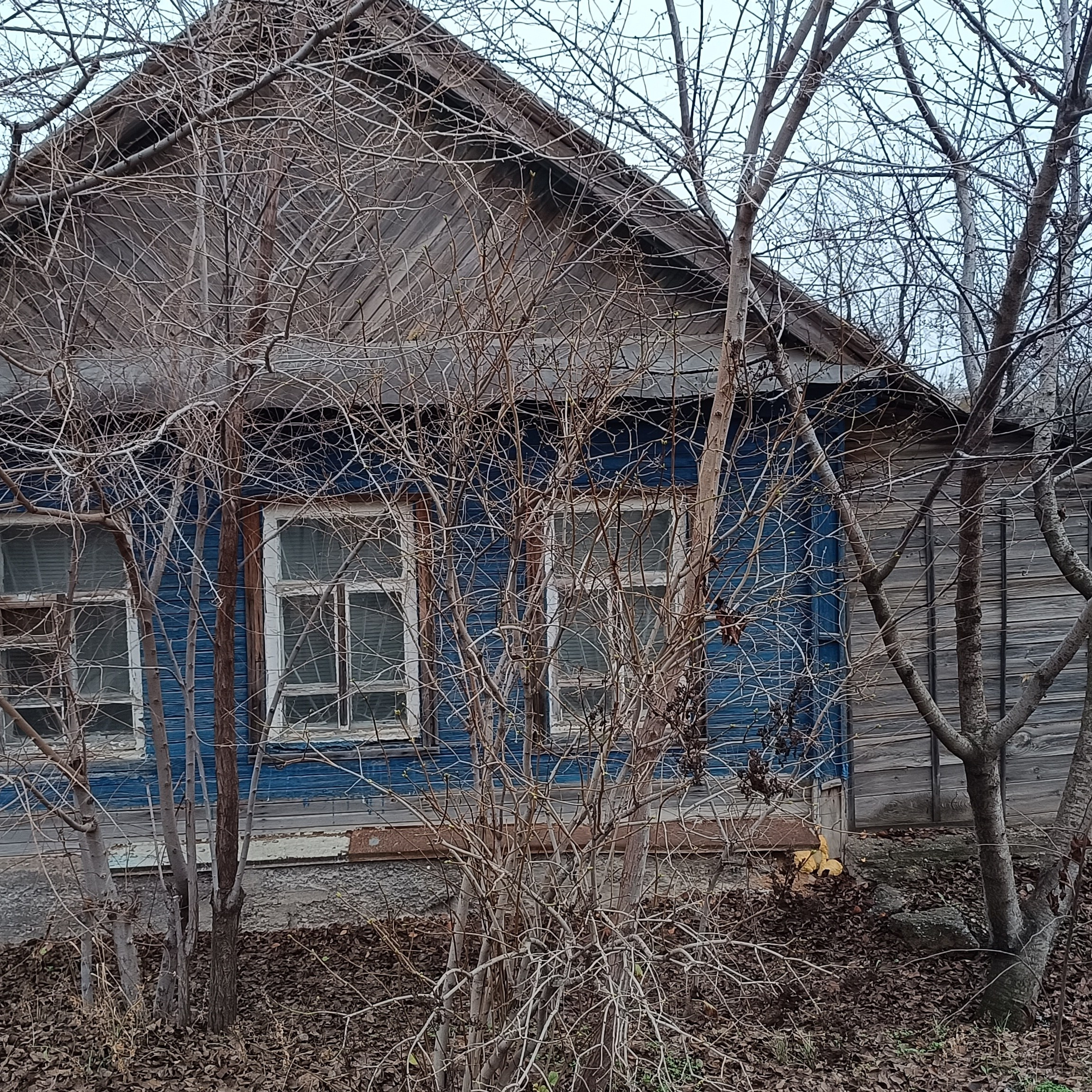 Фототерапия. Марина Рыбкина — Глубинная психология