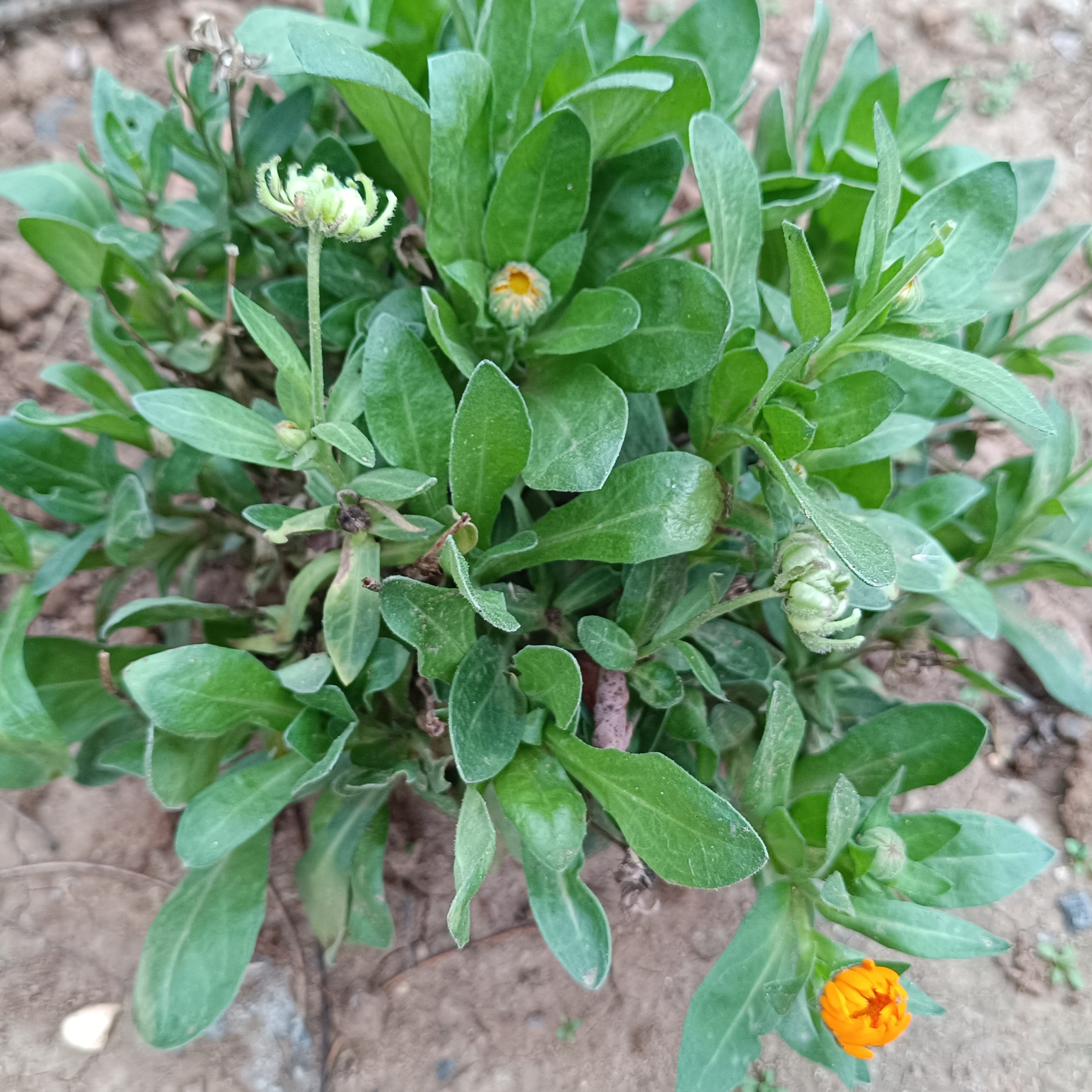 Фототерапия. Марина Рыбкина — Глубинная психология