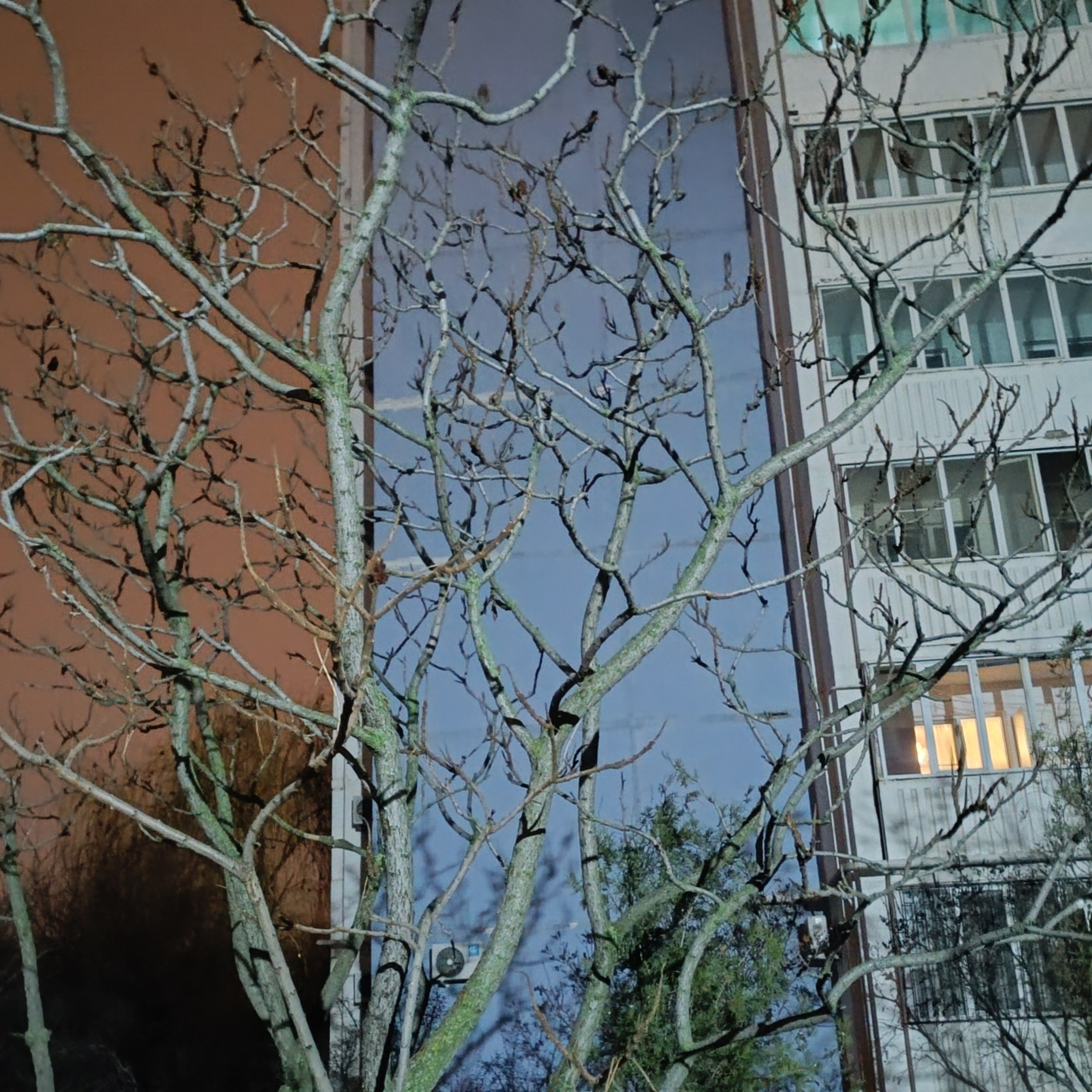 Фототерапия. Марина Рыбкина — Глубинная психология