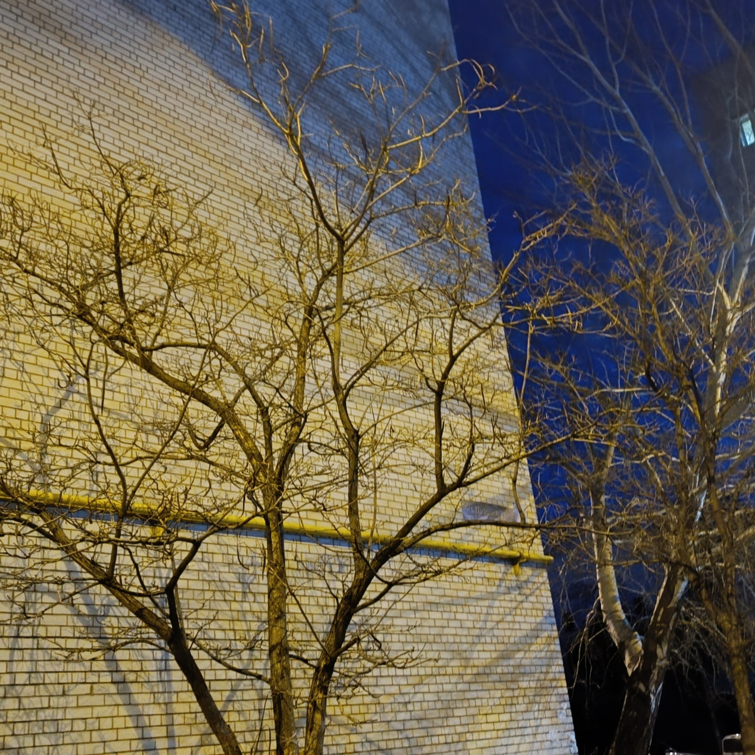 Фототерапия. Марина Рыбкина — Глубинная психология