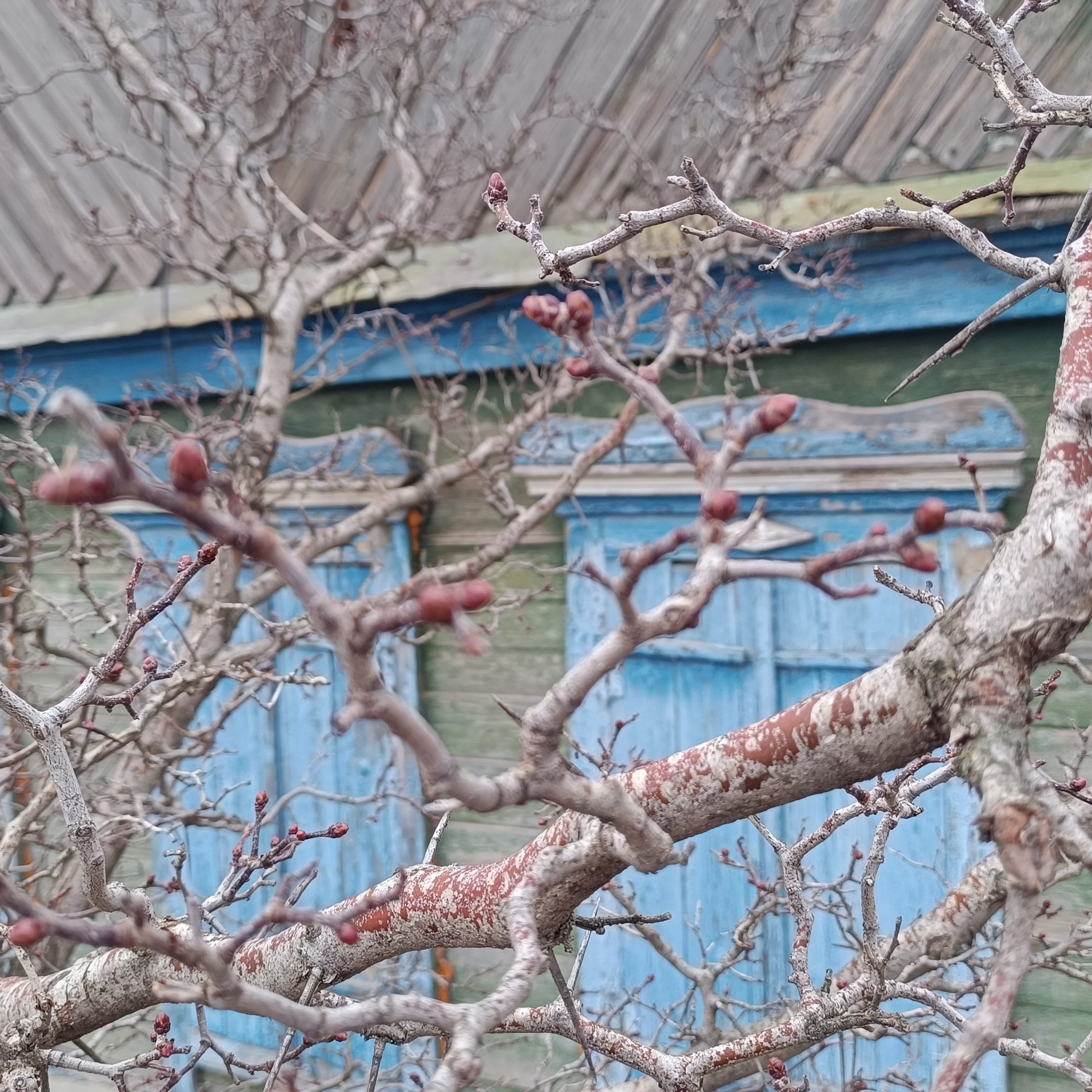 Фототерапия. Марина Рыбкина — Глубинная психология