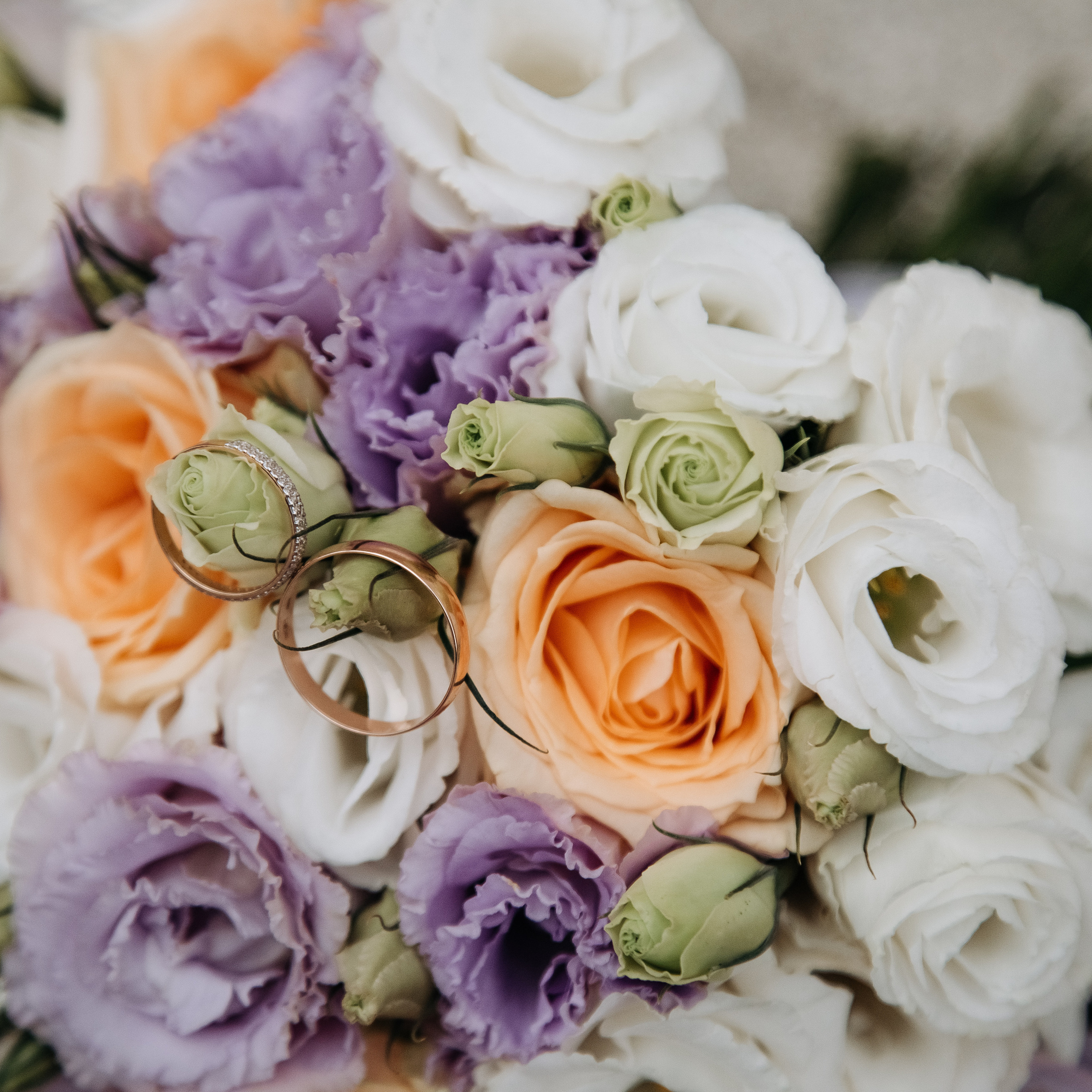 Отзывы. Свадебный фотограф в Ростове-наДону Марина Дымарчук