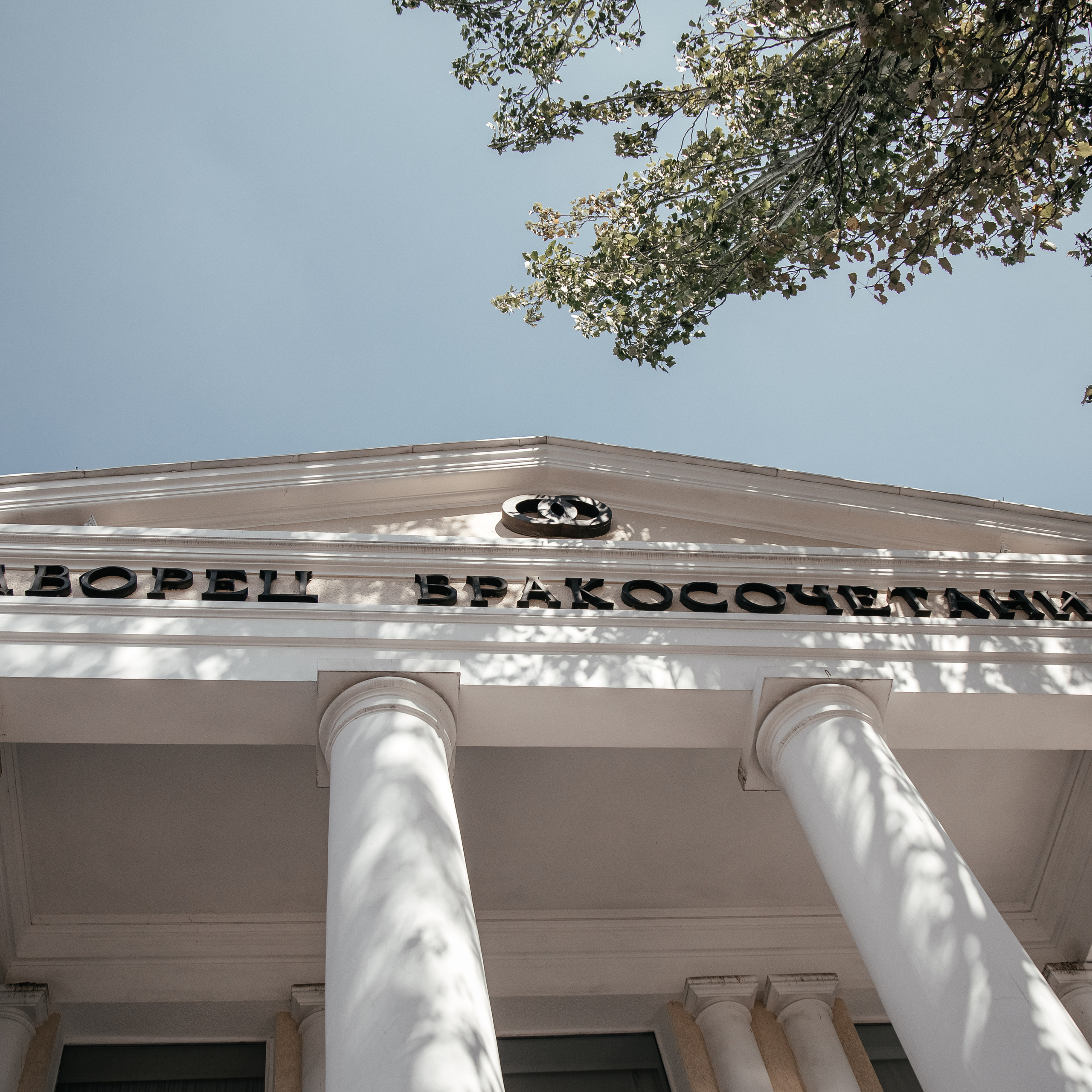 Отзывы. Свадебный фотограф в Ростове-наДону Марина Дымарчук