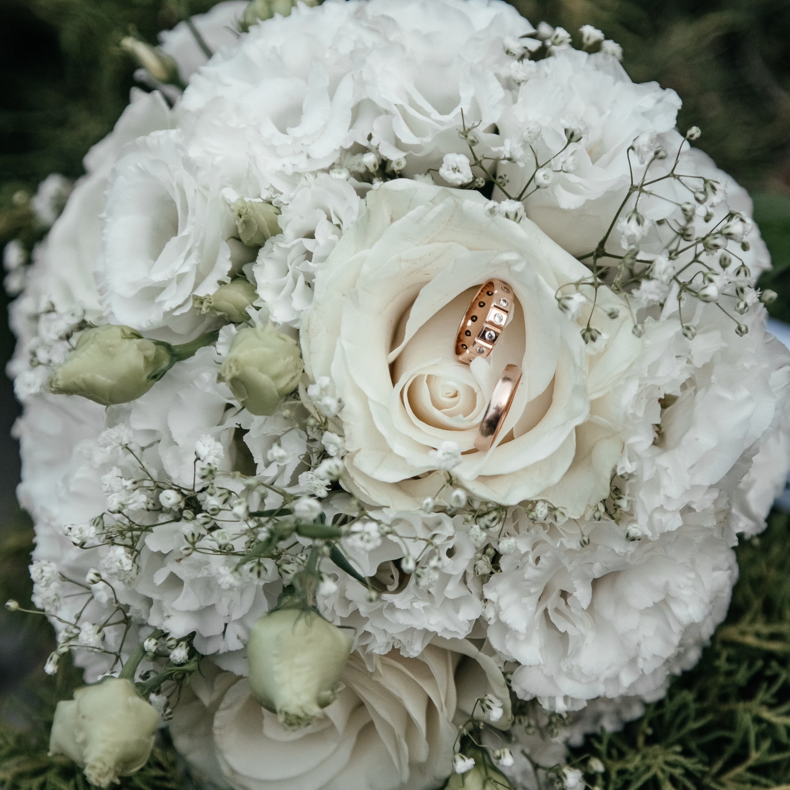 Отзывы. Свадебный фотограф в Ростове-наДону Марина Дымарчук