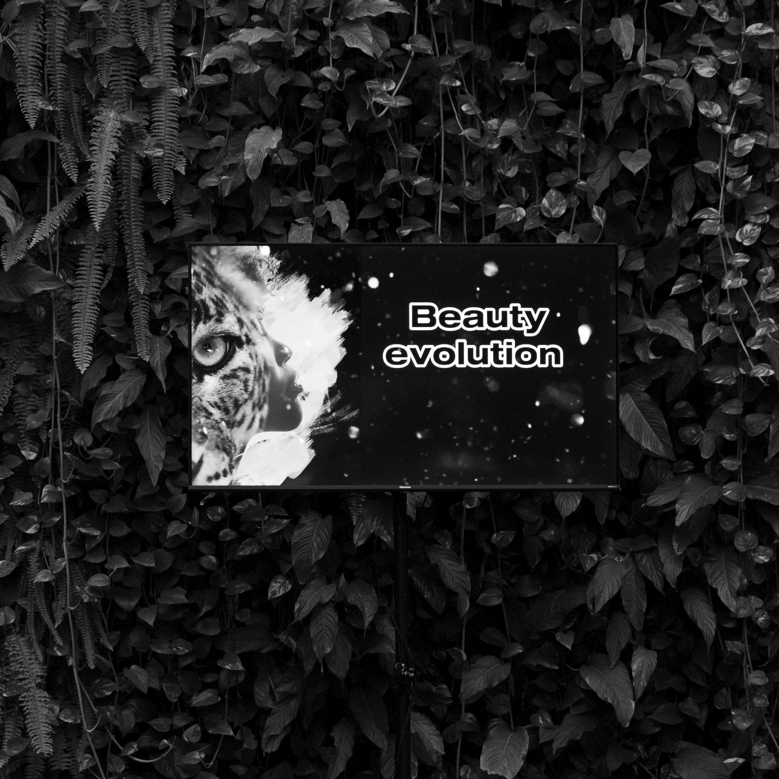 Отзывы. Свадебный фотограф Калининград