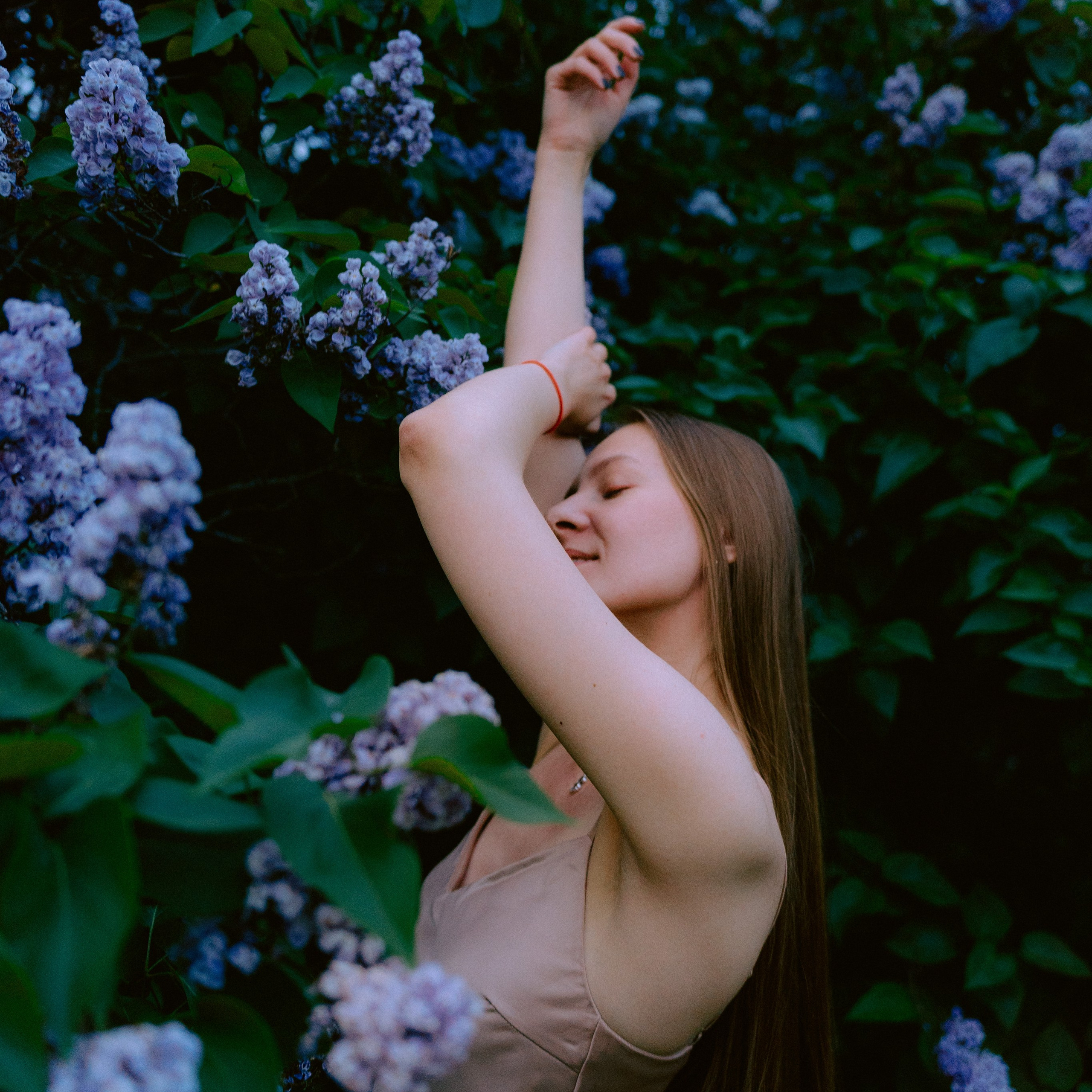 Сиреневый сад