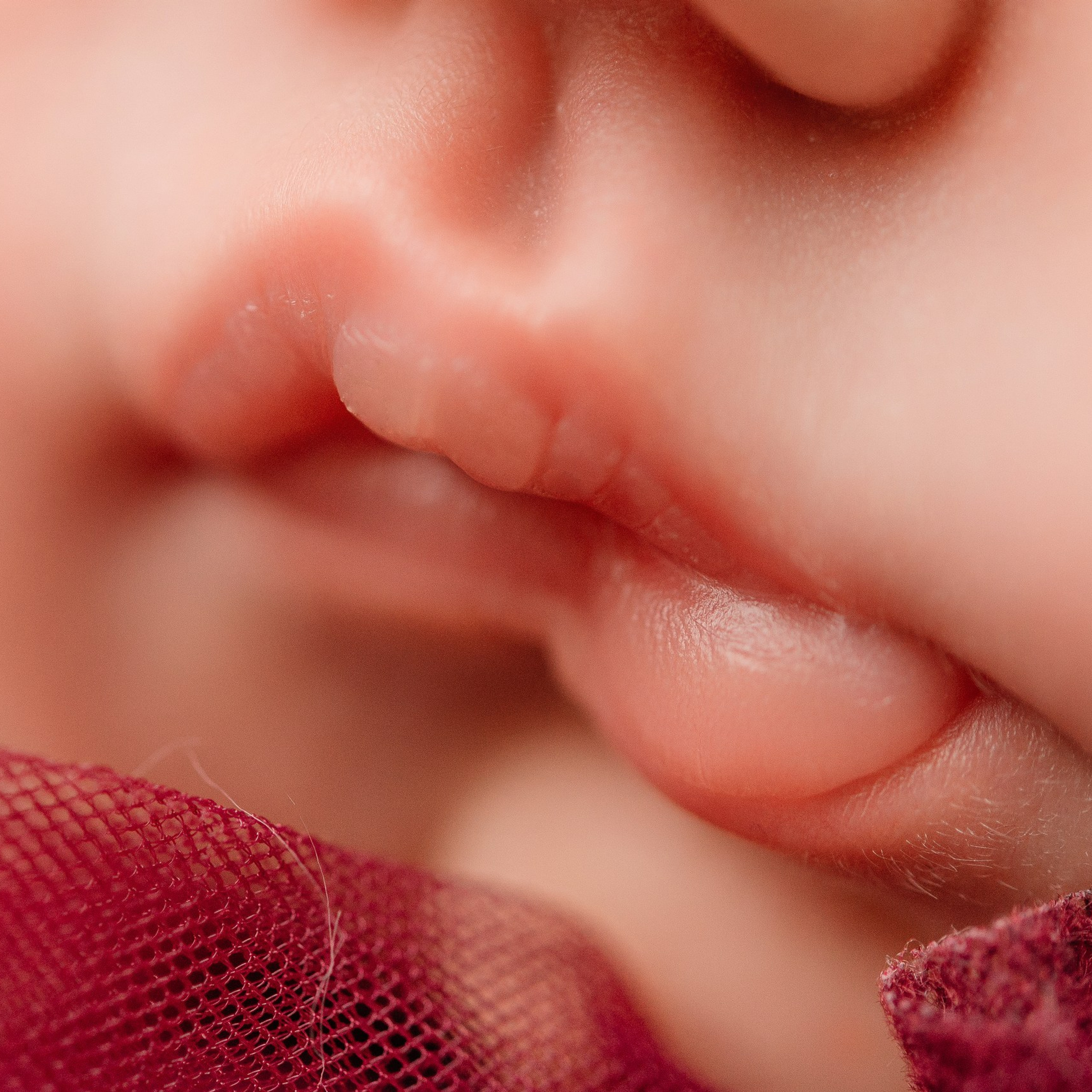 Отзывы. Фотограф новорожденных Белгород