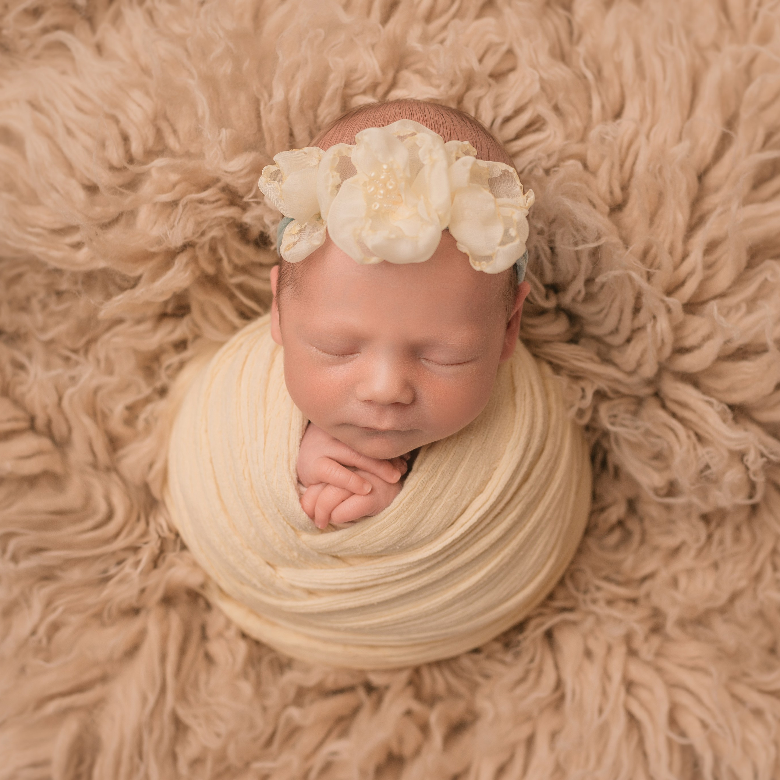 Newborn