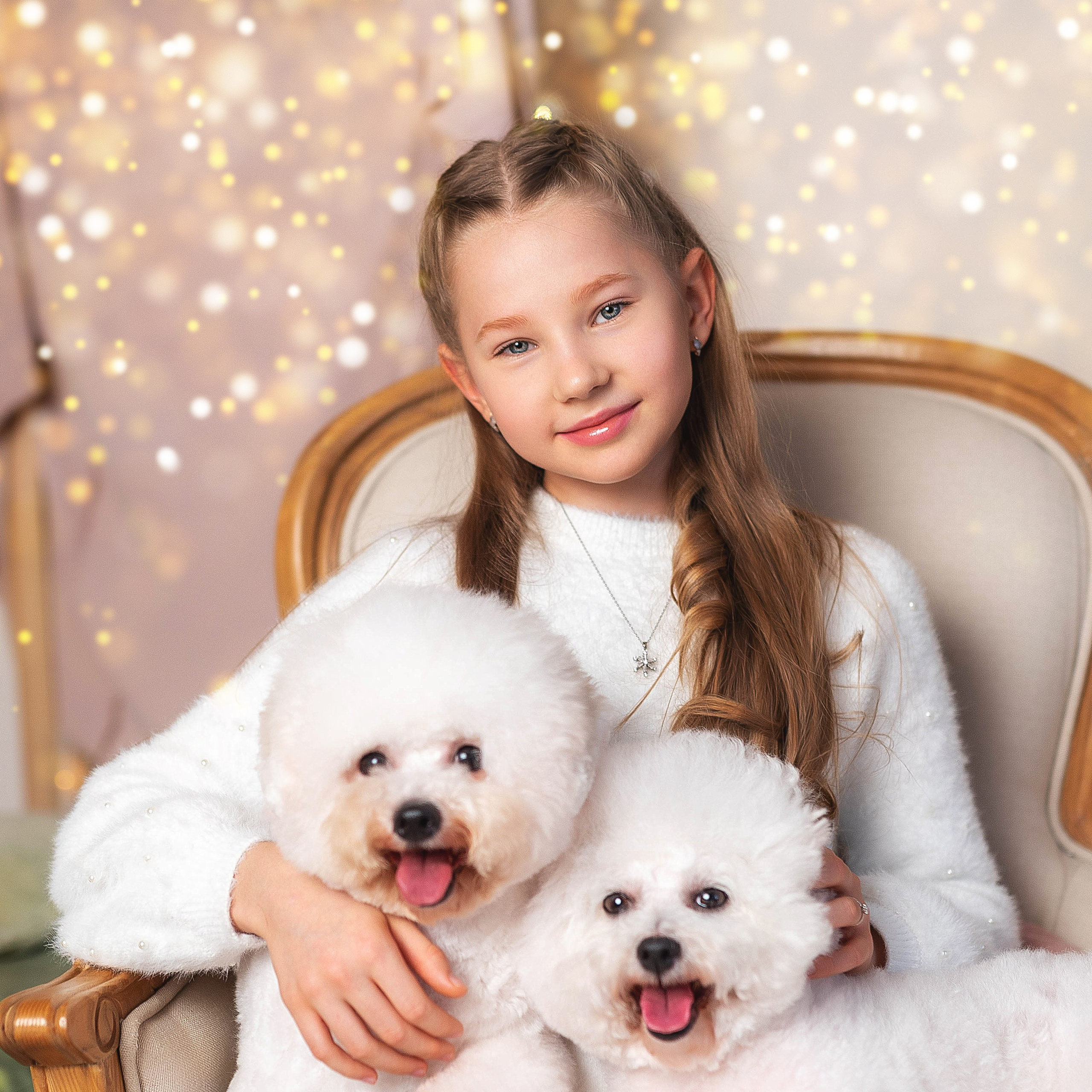 Фотосессия с бишонами