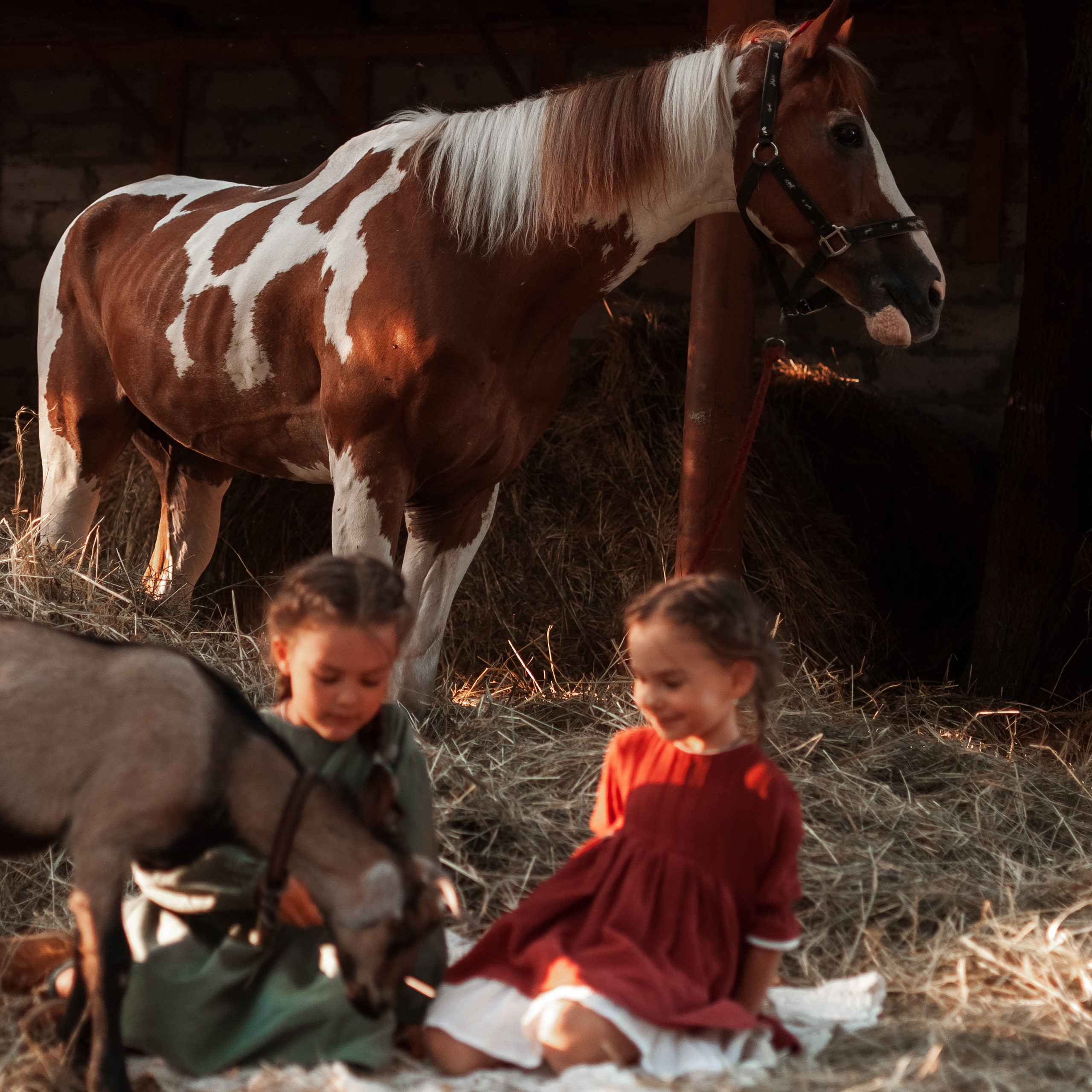 Прогулка по Ранчо