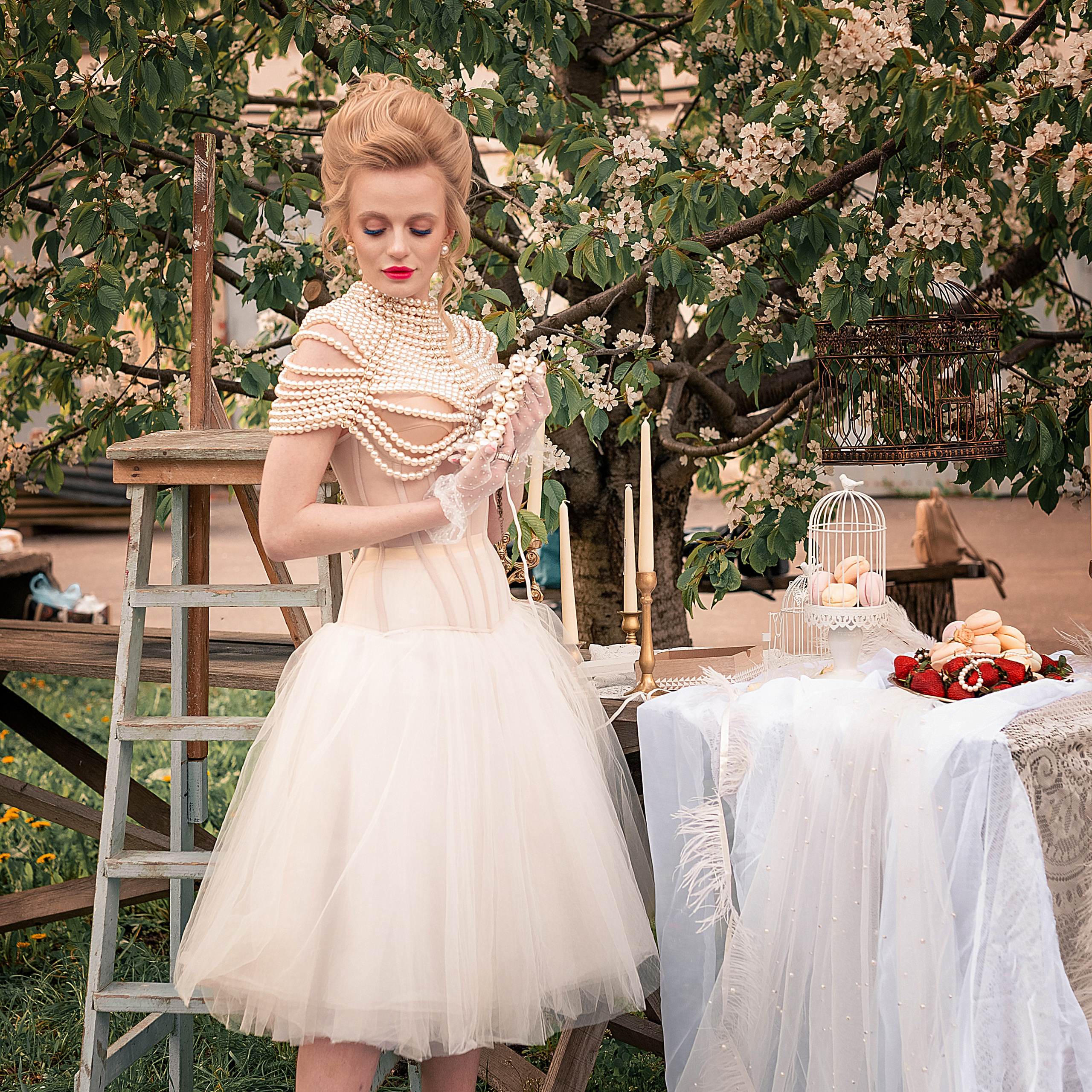 проект Ренессанс