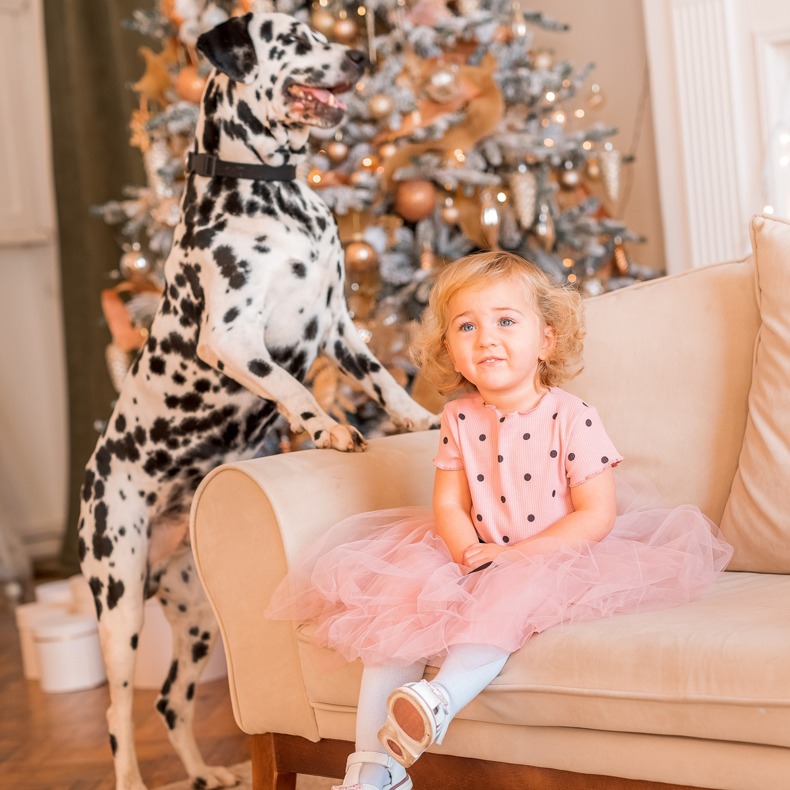 Отзывы. Семейный, детский фотограф в Воронеже Анна Никитина