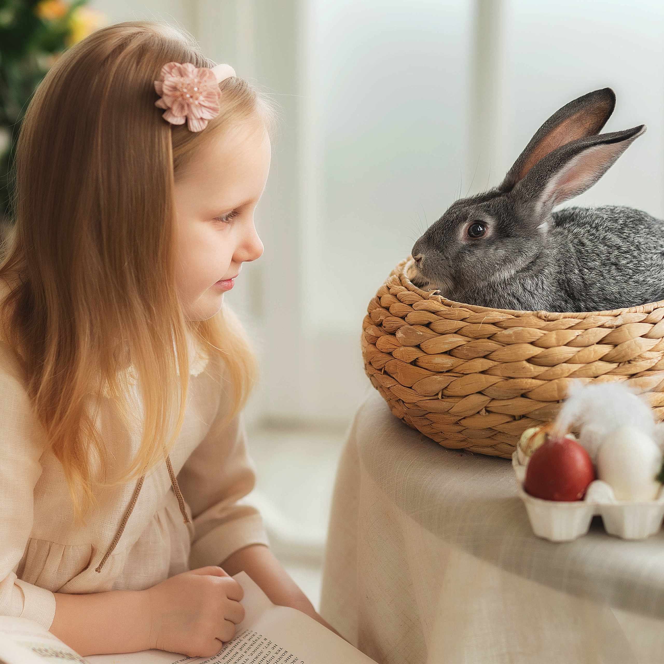 Фотосессия с кроликом