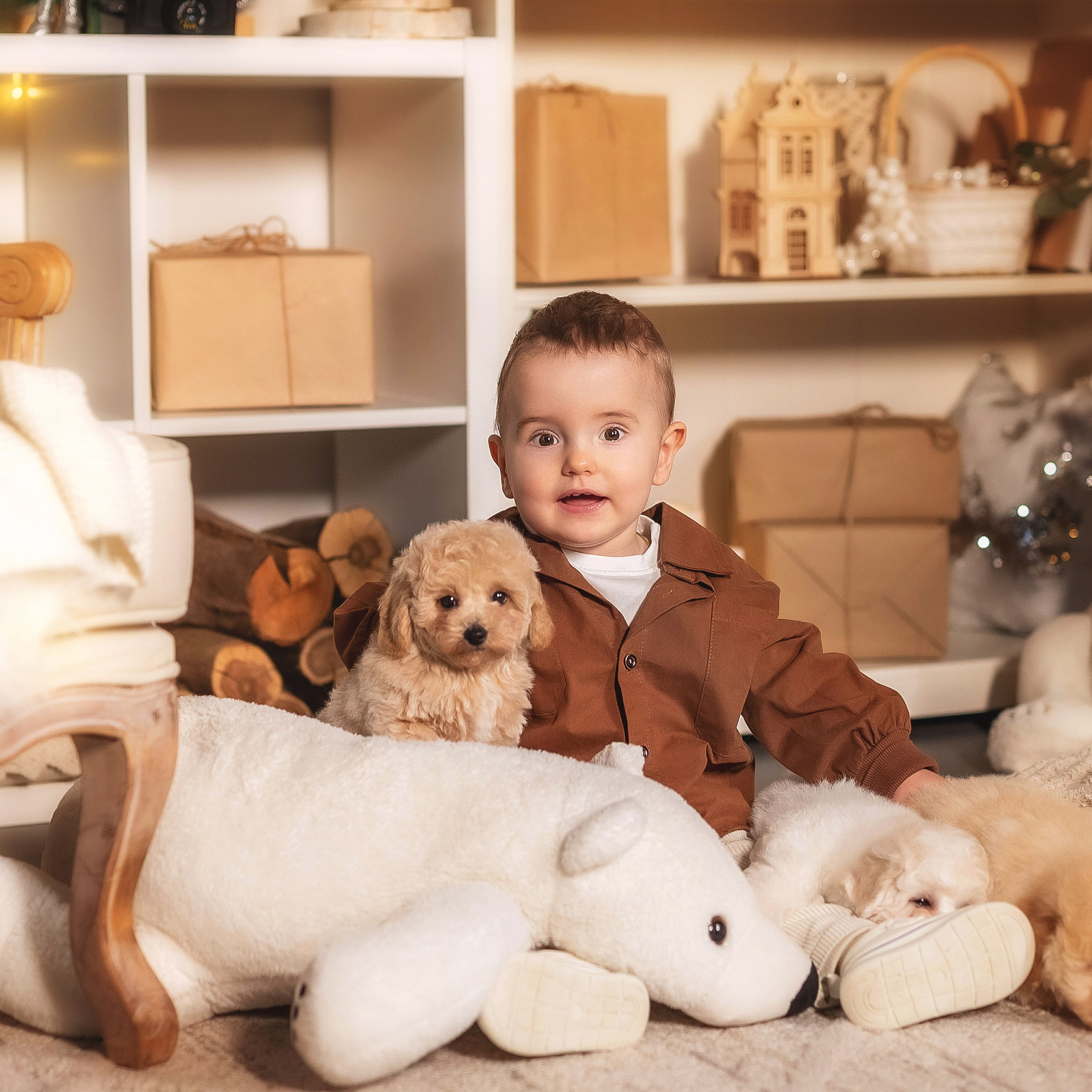 Фотосессия с собачками