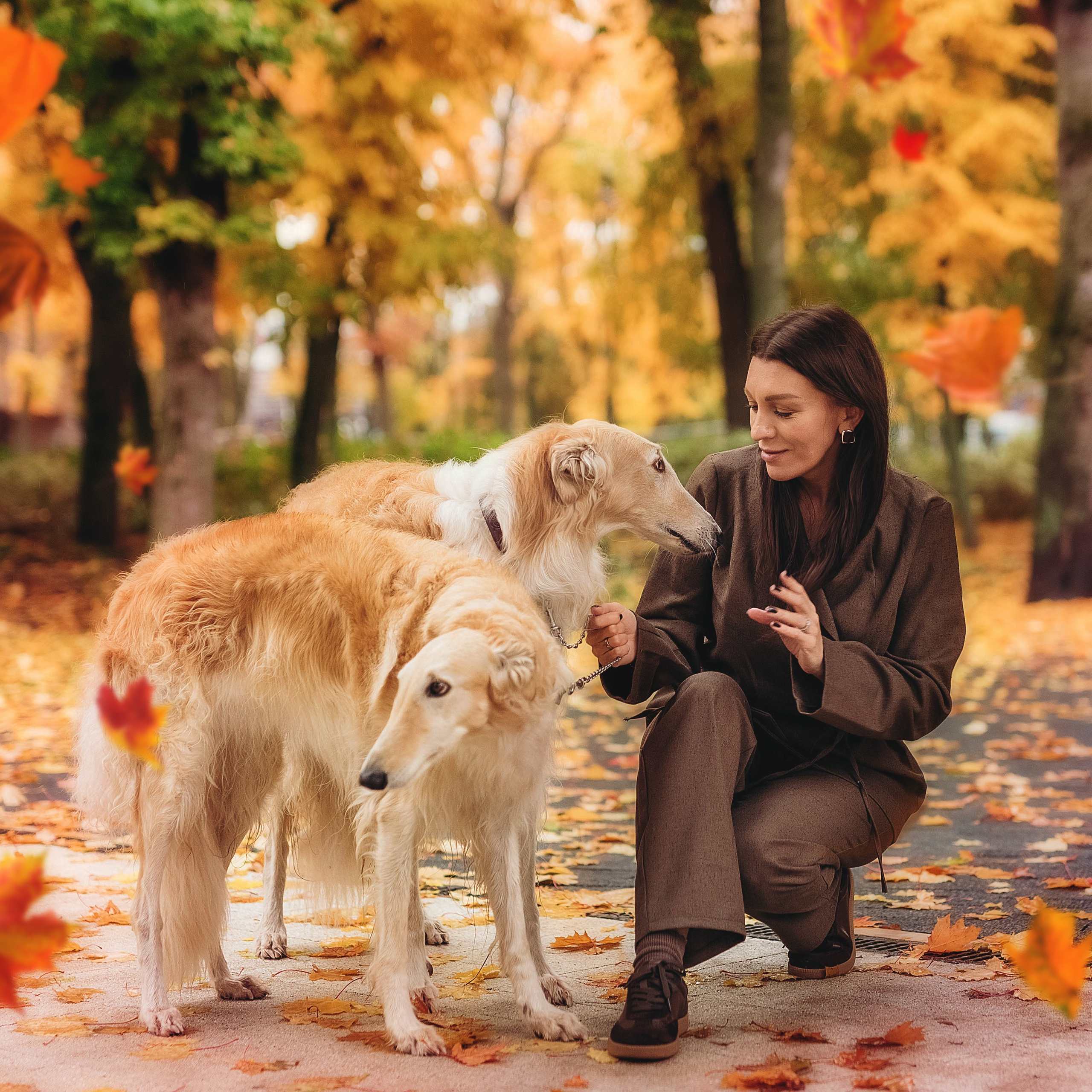 Фотосессия с борзыми