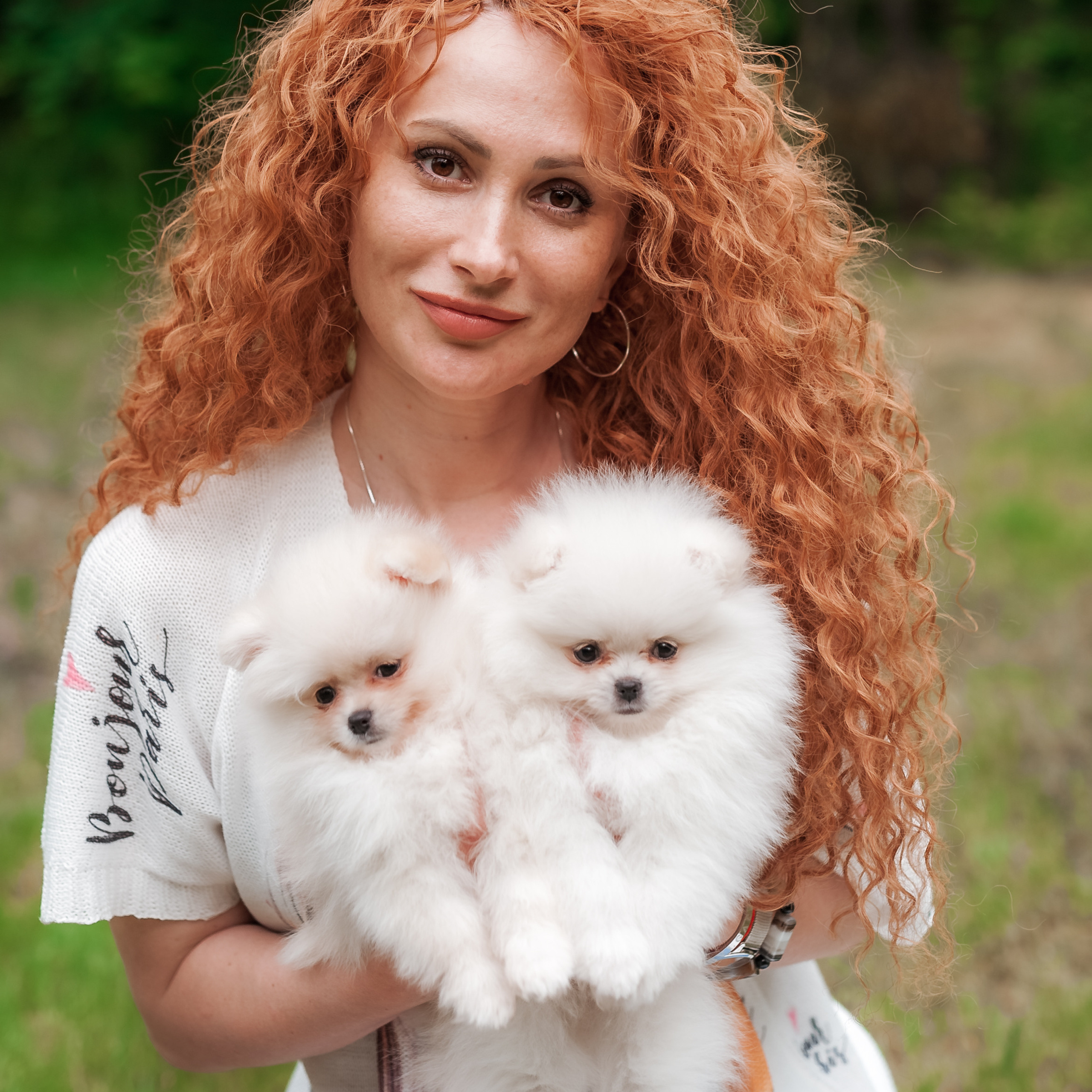 Проект с щеночками шпица