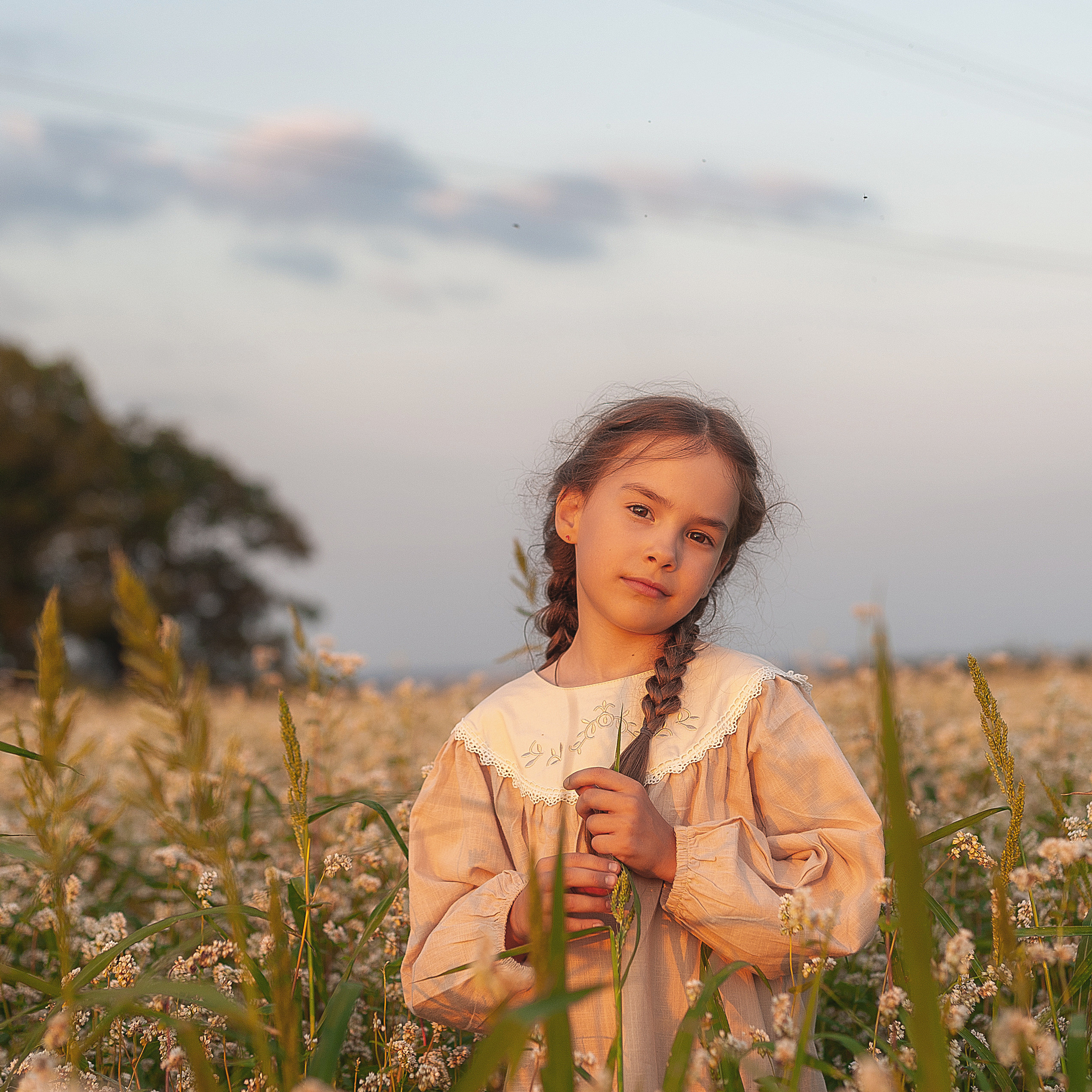 Гречишное поле