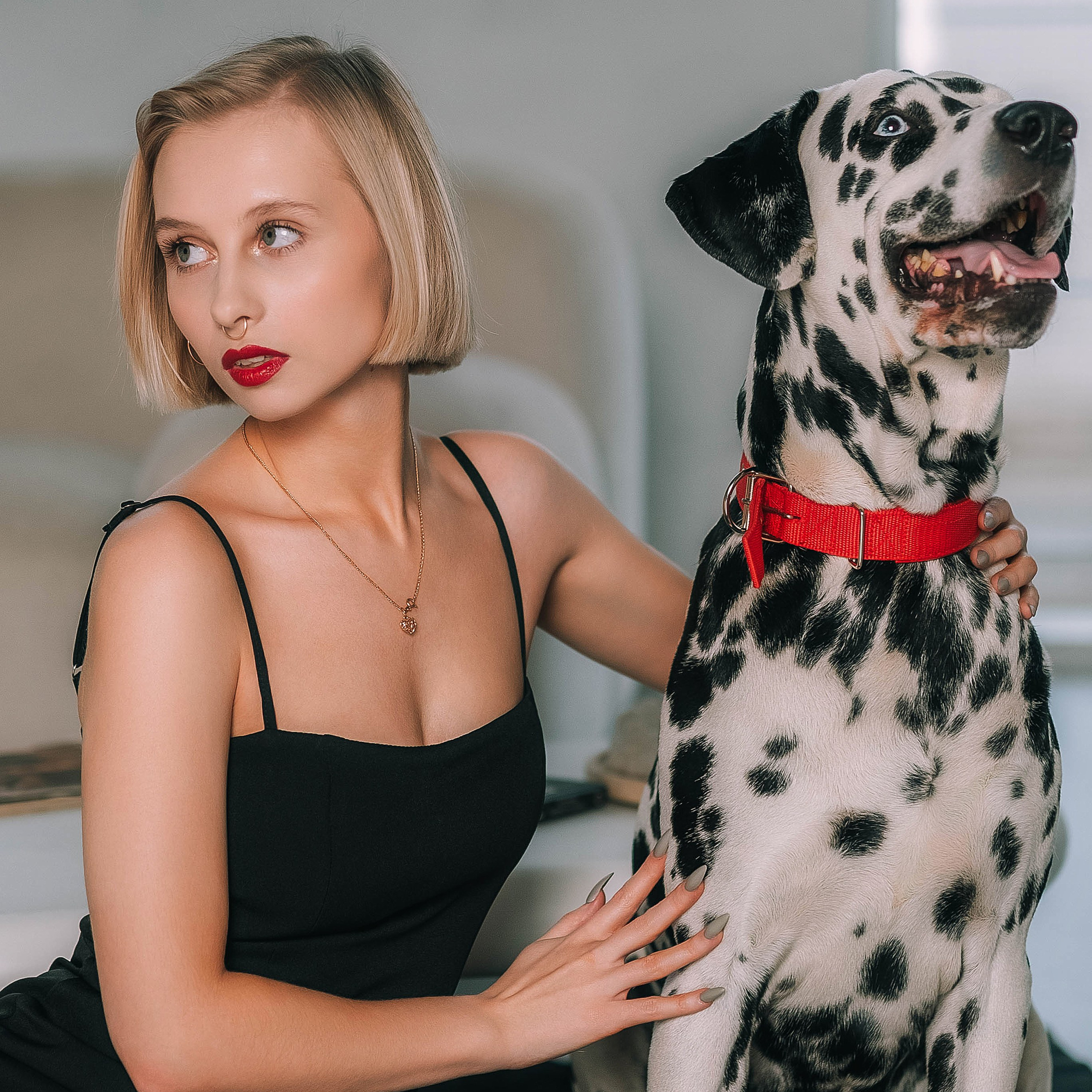 Фотосессия с далматинцем