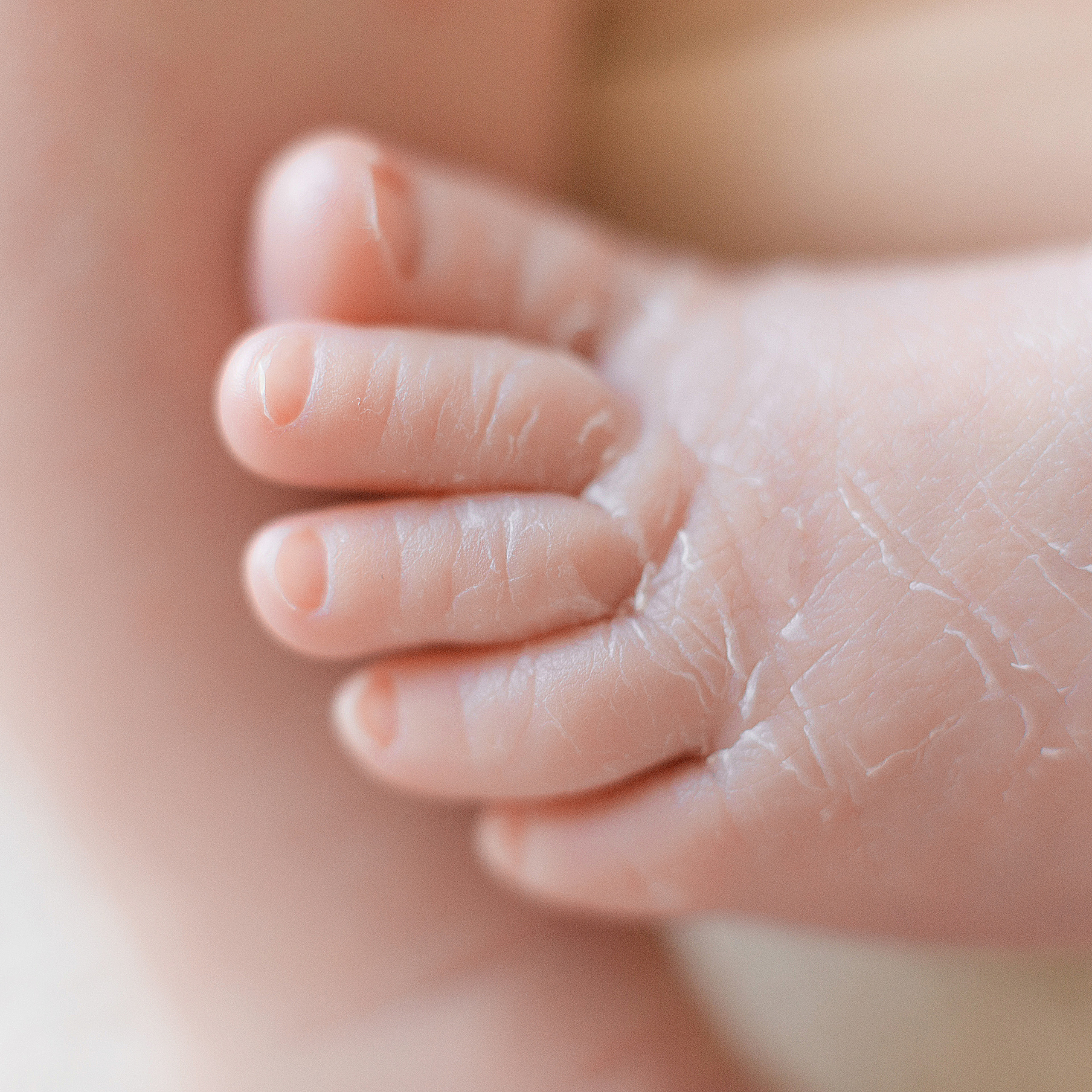 Отзывы. Фотограф новорождённых в городе Оренбурге Наталья Удовиченко