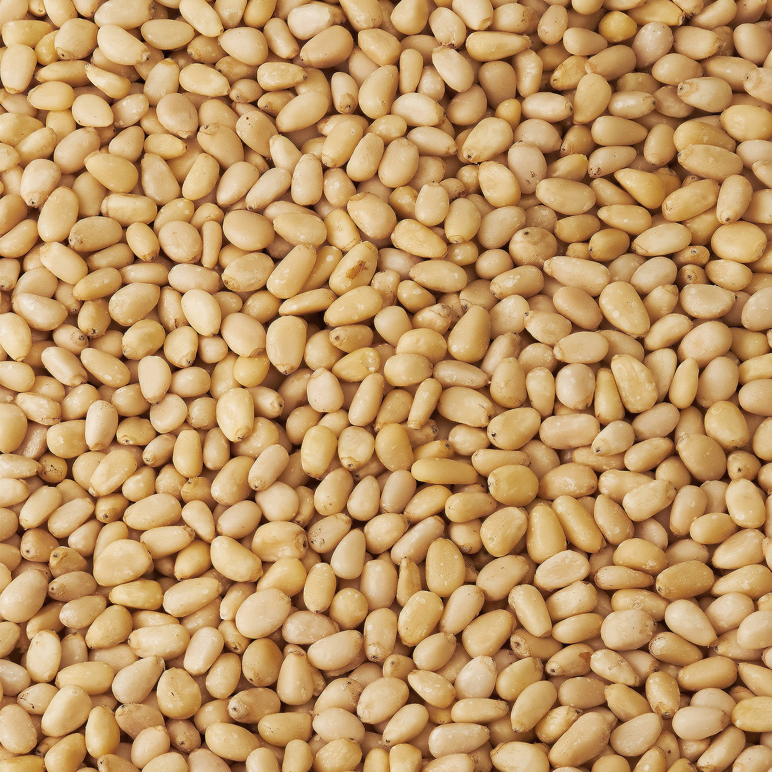 Каталожная карточка нутрицевтика