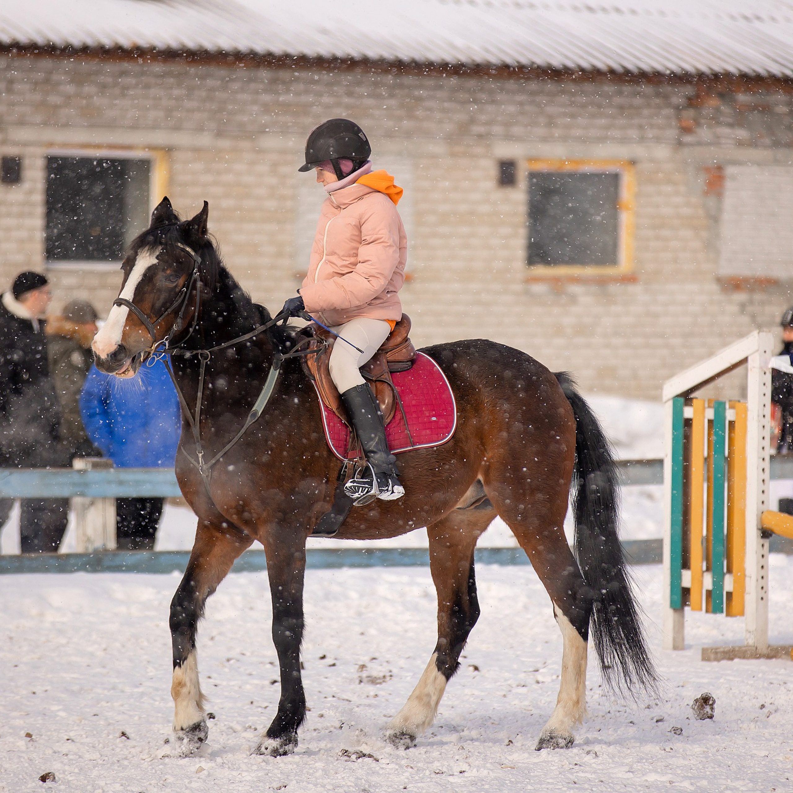 Отзывы. Конный фотограф Валынкина Лера