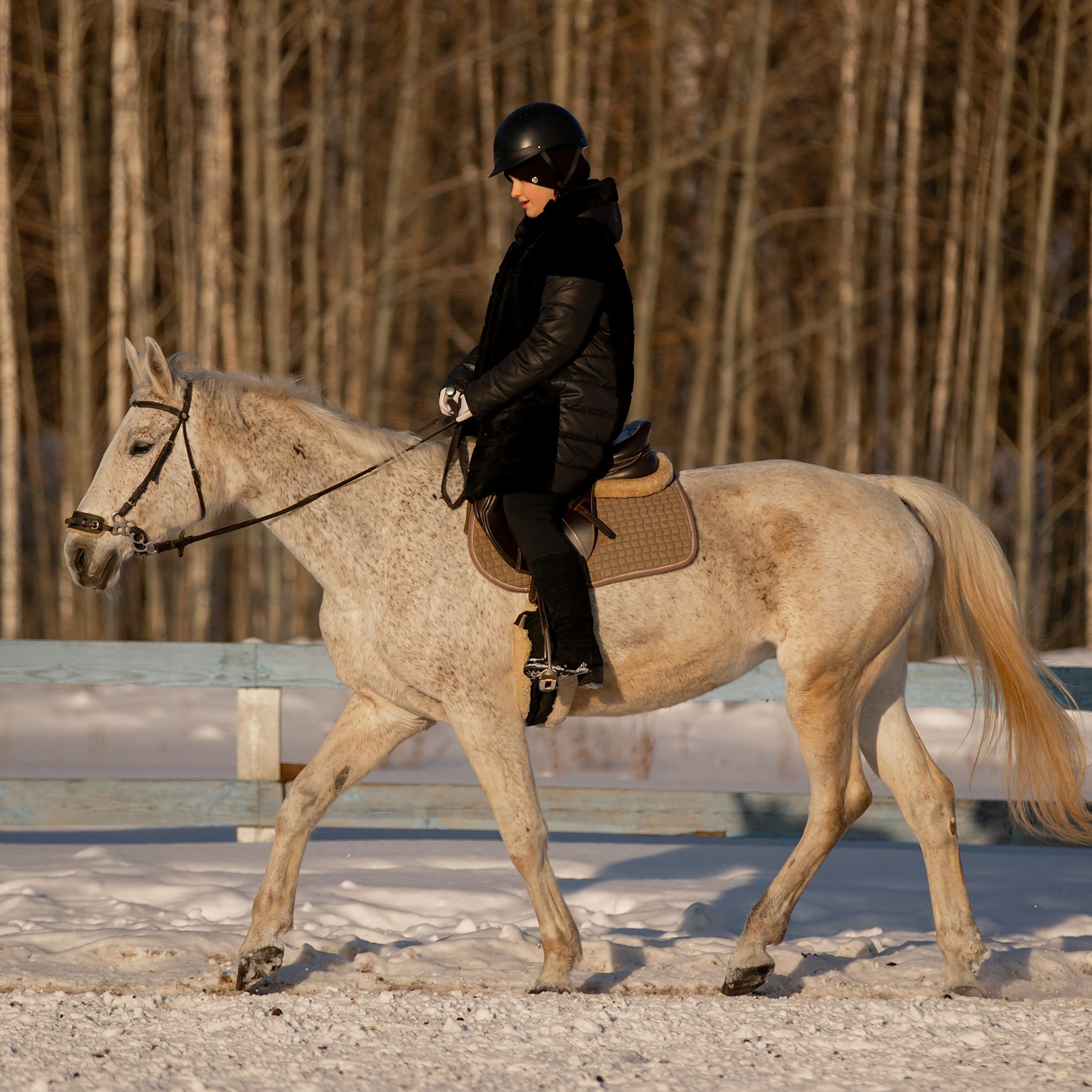 Отзывы. Конный фотограф Валынкина Лера