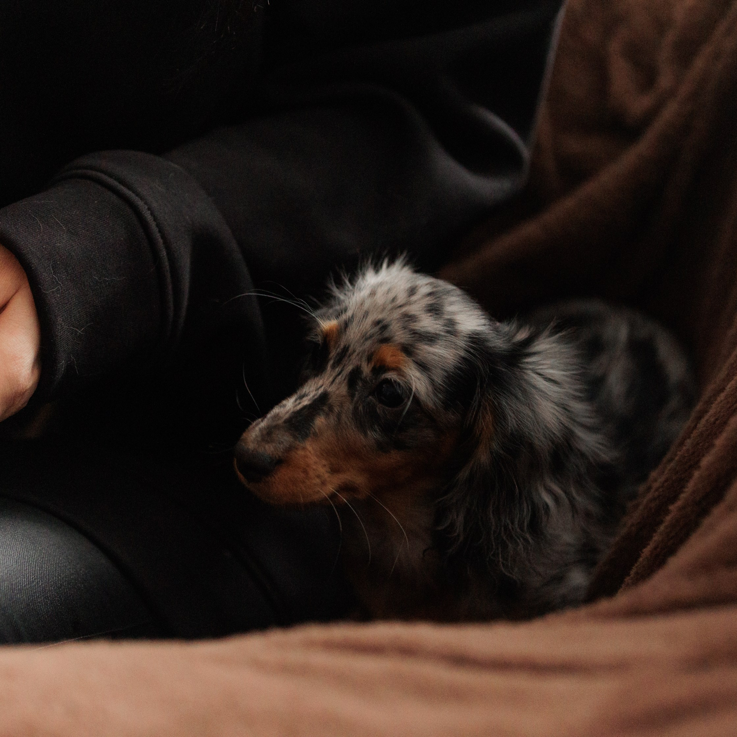 Отзывы. Конный фотограф Валынкина Лера