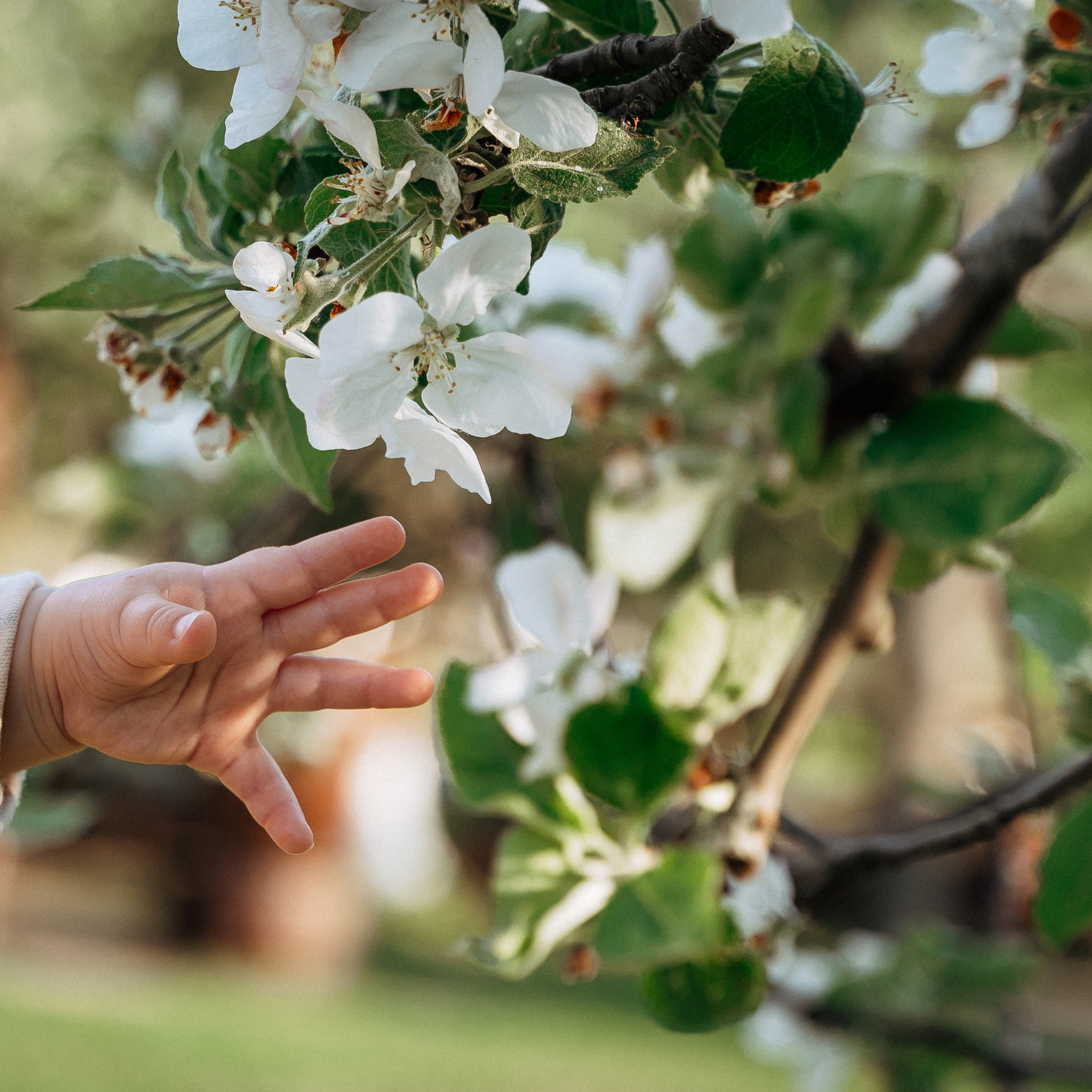 Отзывы. Семейный и детский фотограф Екатерина Антонова